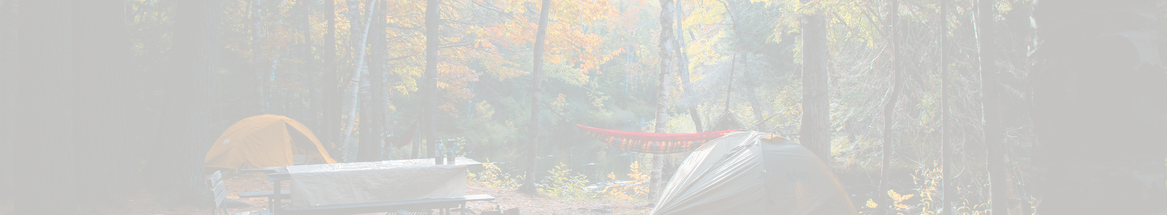 Daniel Girten - REI Adventures "Expert Guidance" : Integrated Campaign Banner 