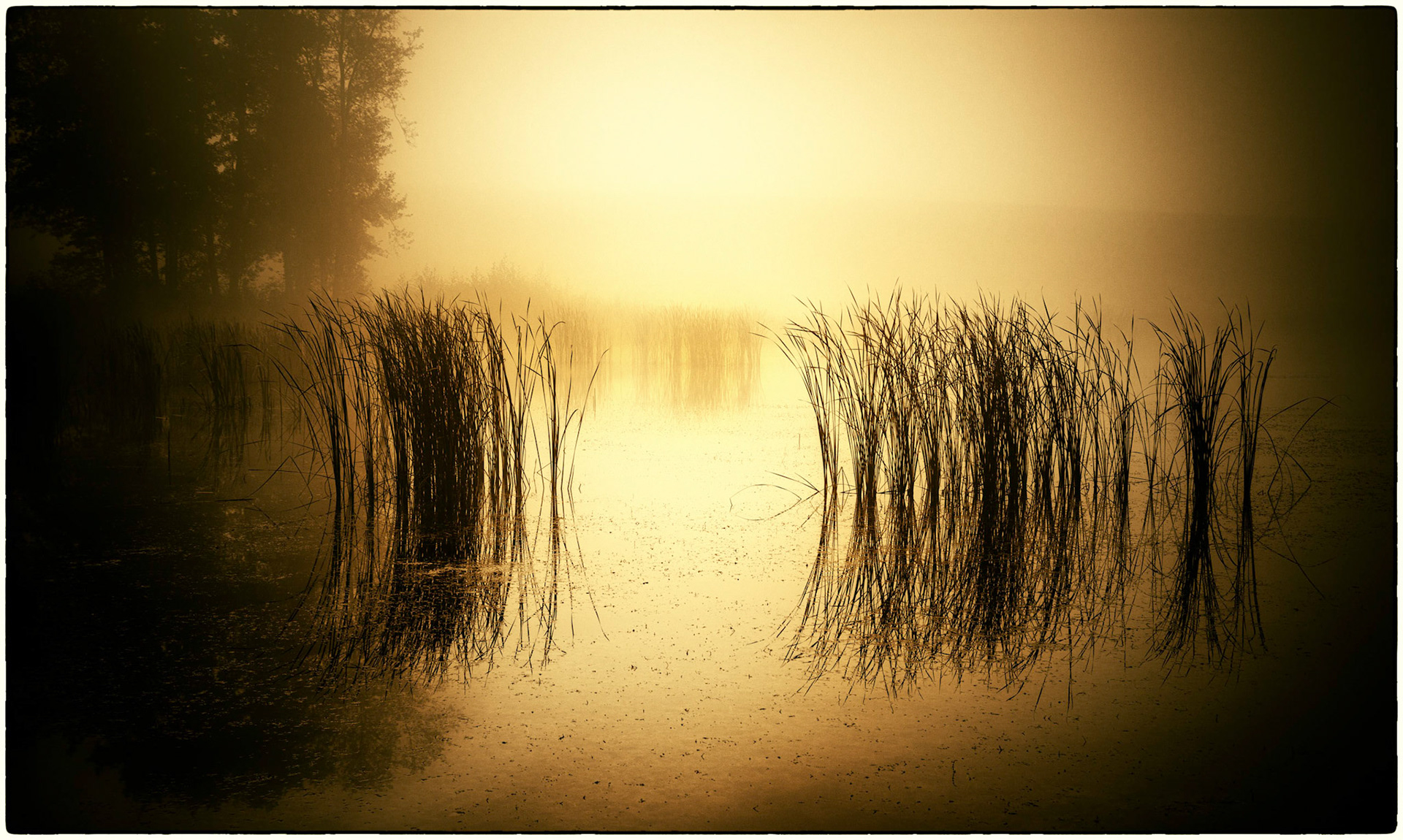 Ranní mlhou hledím slunci vstříc, čekám na dotyk prvnho přímého paprsku.