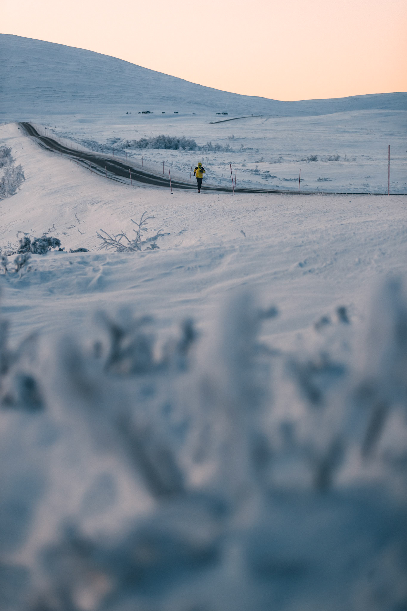 Pau Capell - Run For The Artic (c) Damiano Levati/Storyteller-Labs