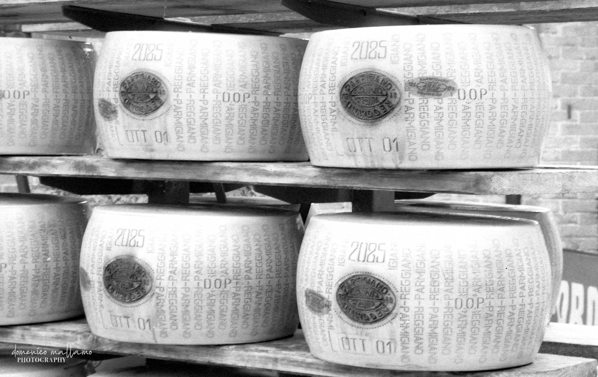 Branding the wheels of Parmigiano Reggiano