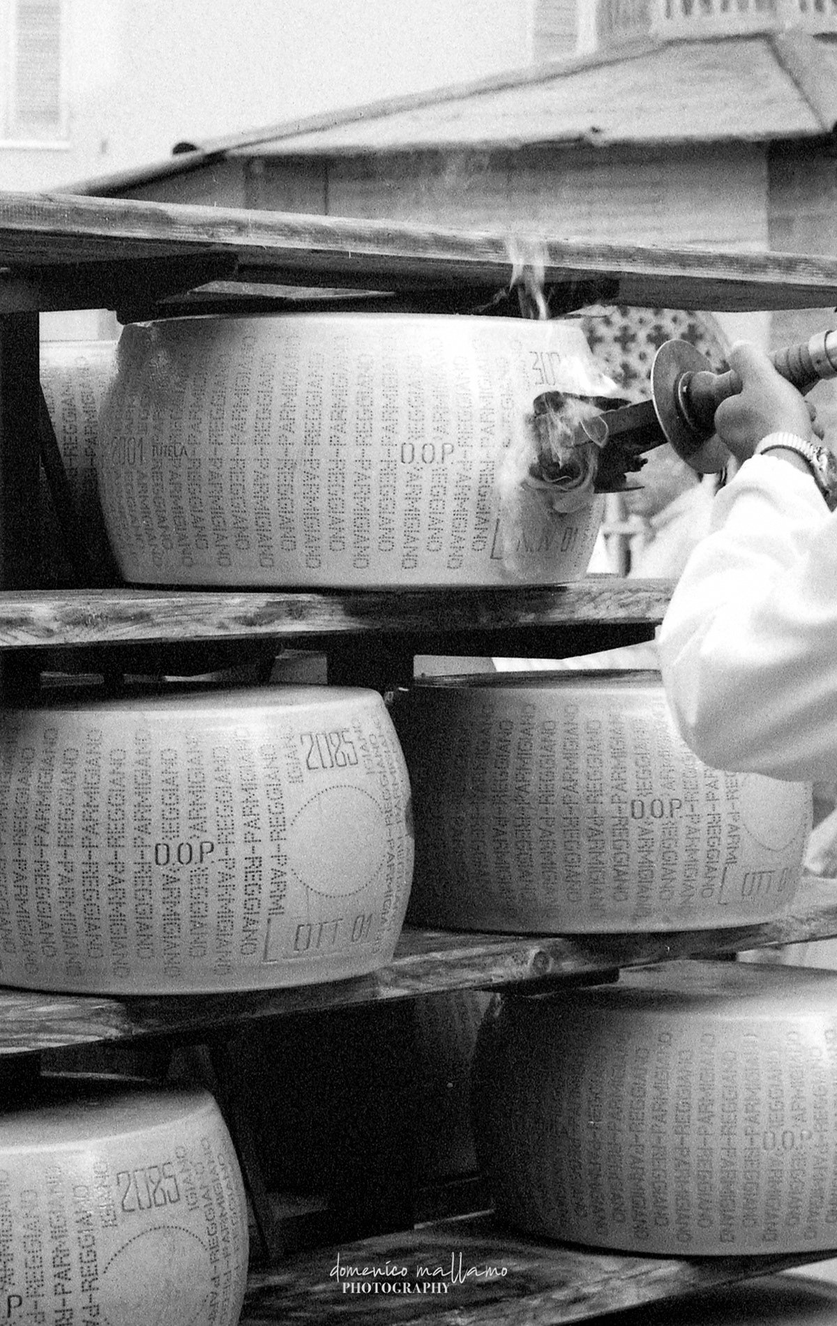 Branding the wheels of Parmigiano Reggiano