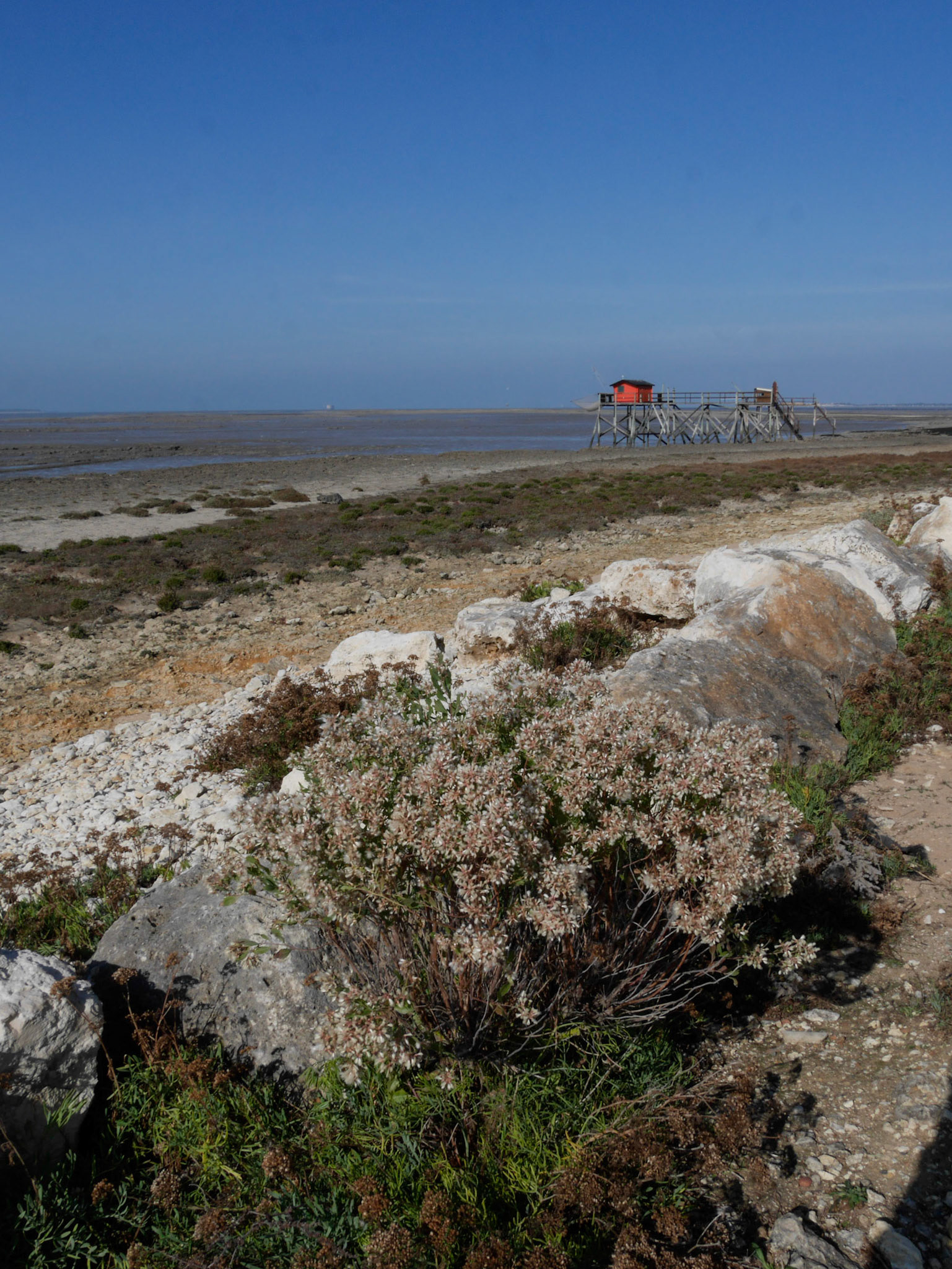 Pêcherie à l'île madame