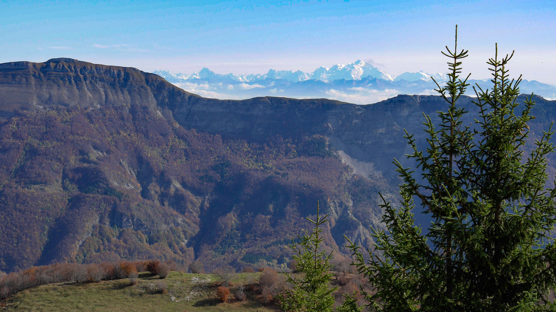 Ascension vers le Crêt de Chalam