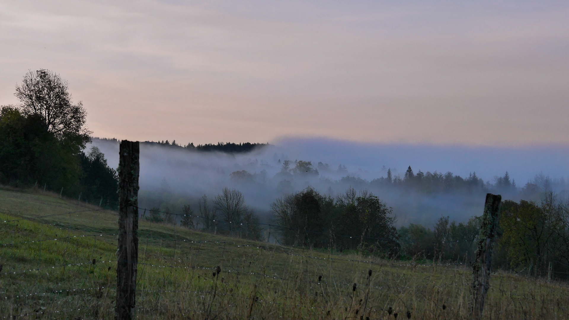 Brume matinale depuis le gîte