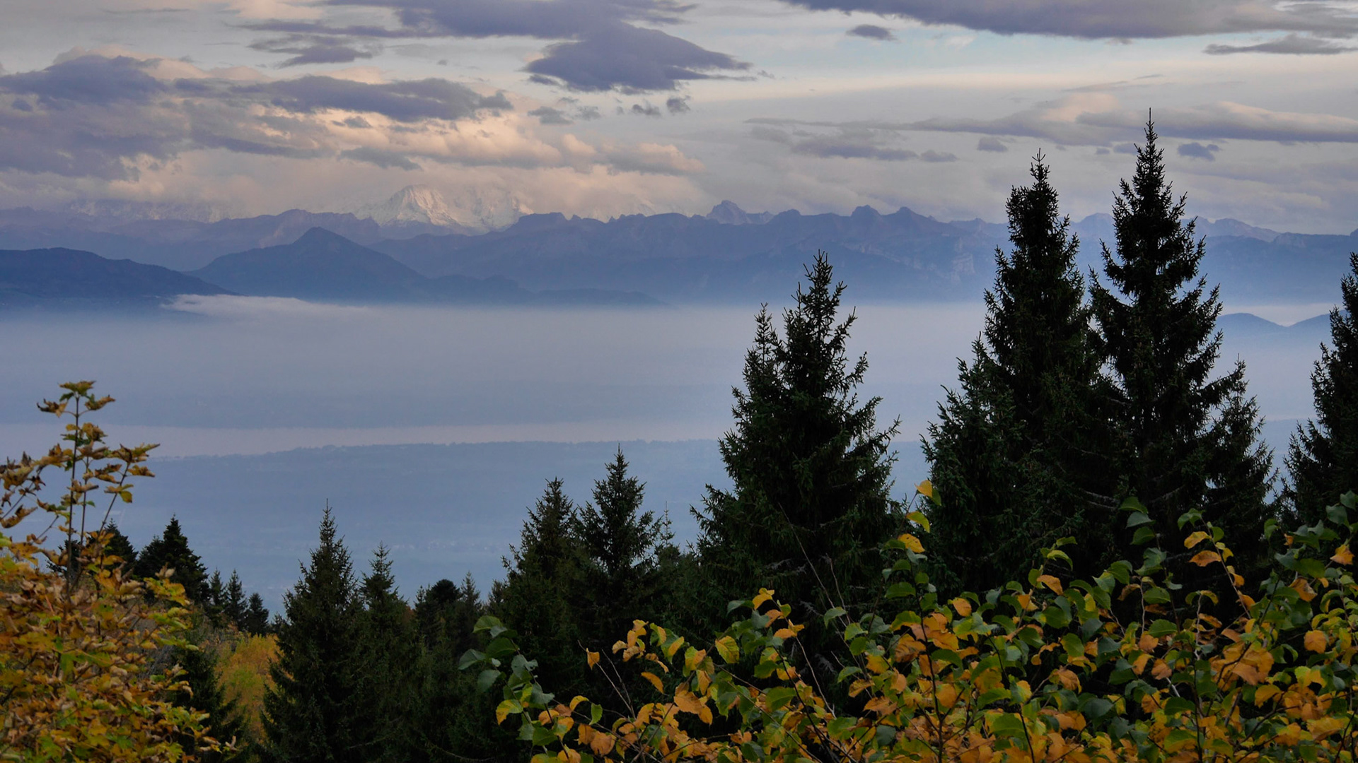 Panorama sous le col de la Faucille.