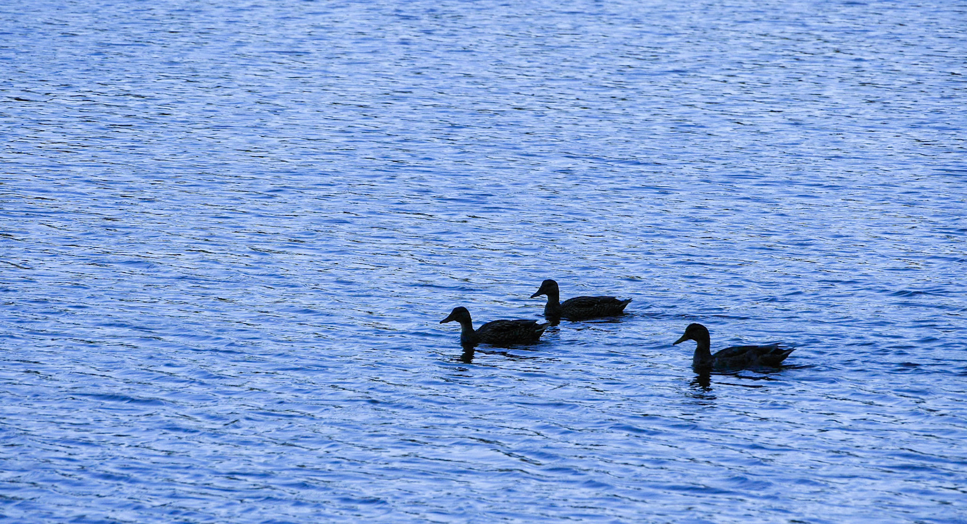 P1000173