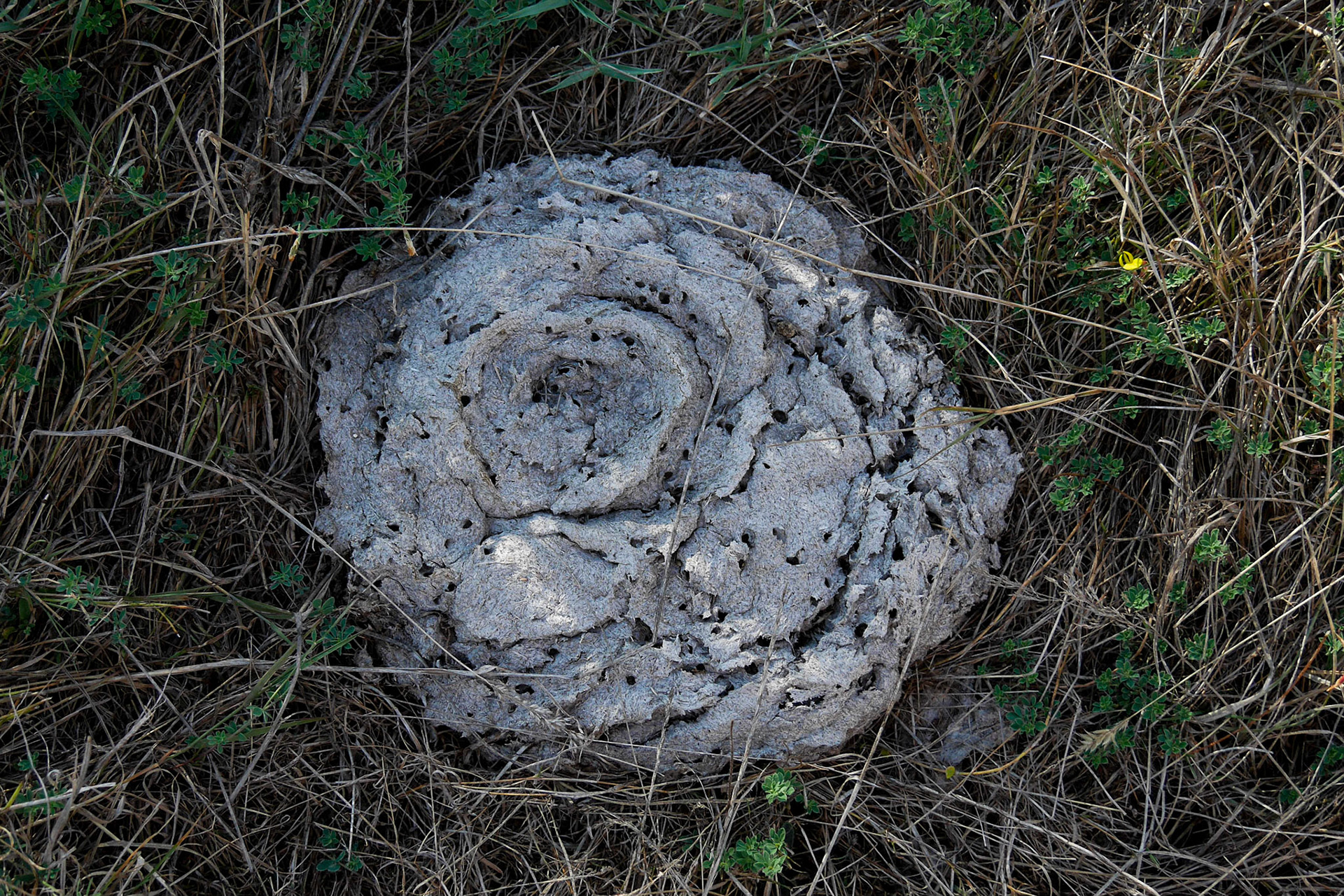 P1000173