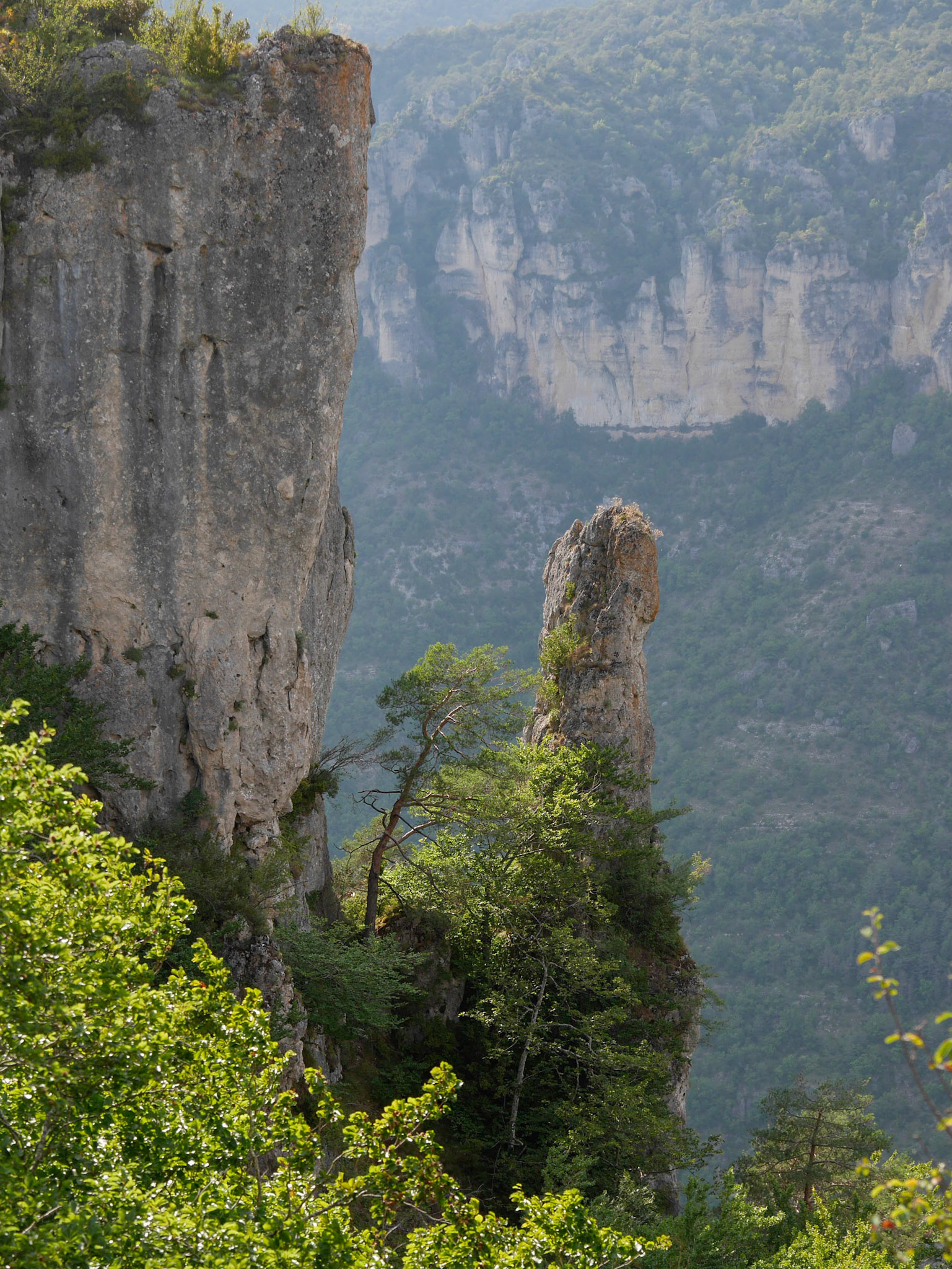Piton rocheux dans les gorges de la Dourbie