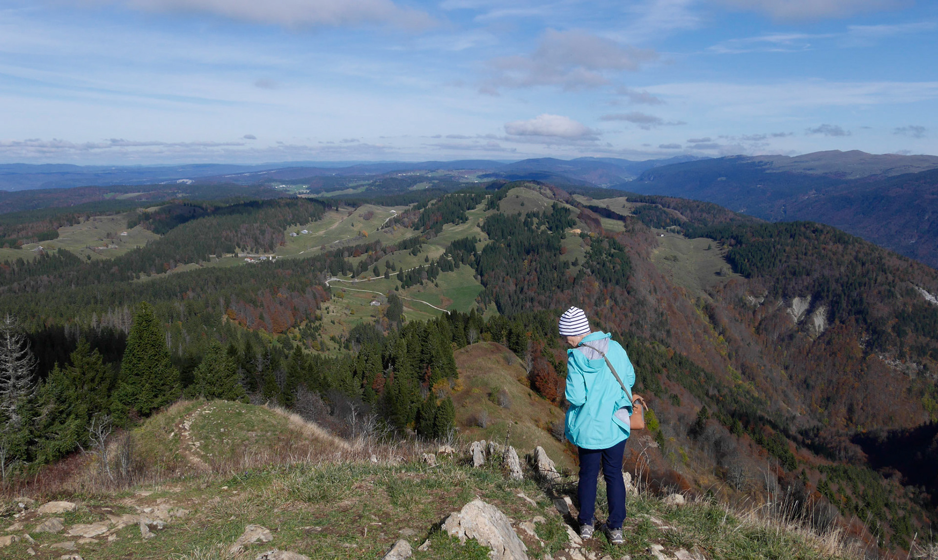 Panorama depuis le Crêt de Chamlam
