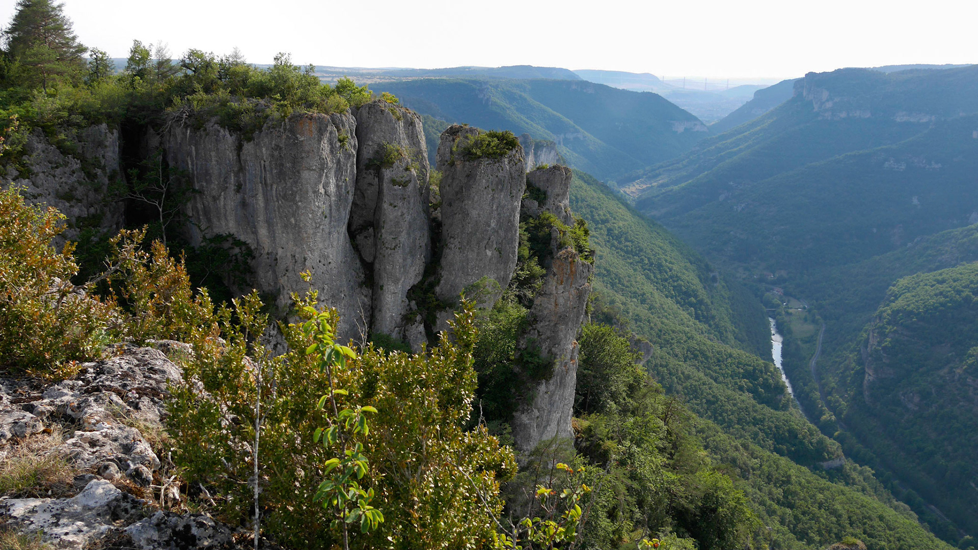 Gorges de la Dourbie