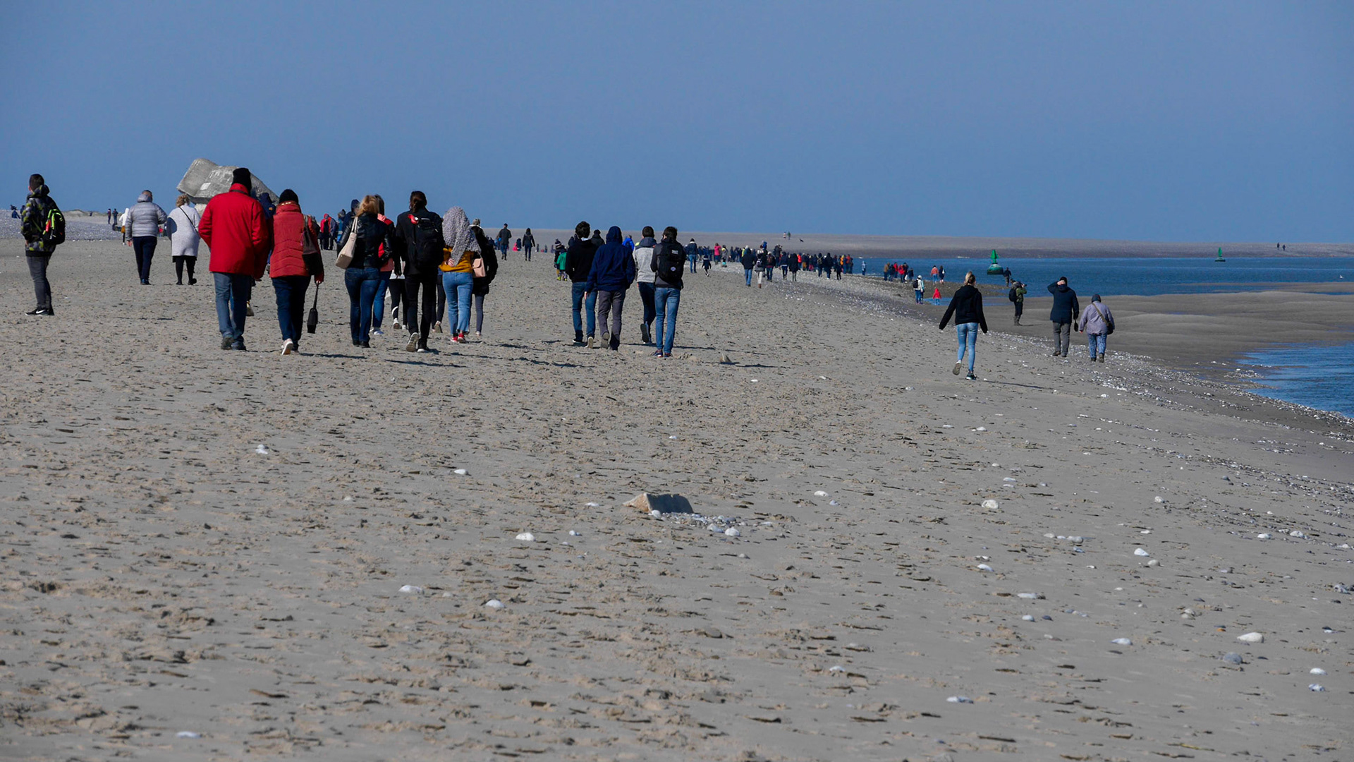 Chasse aux phoques !