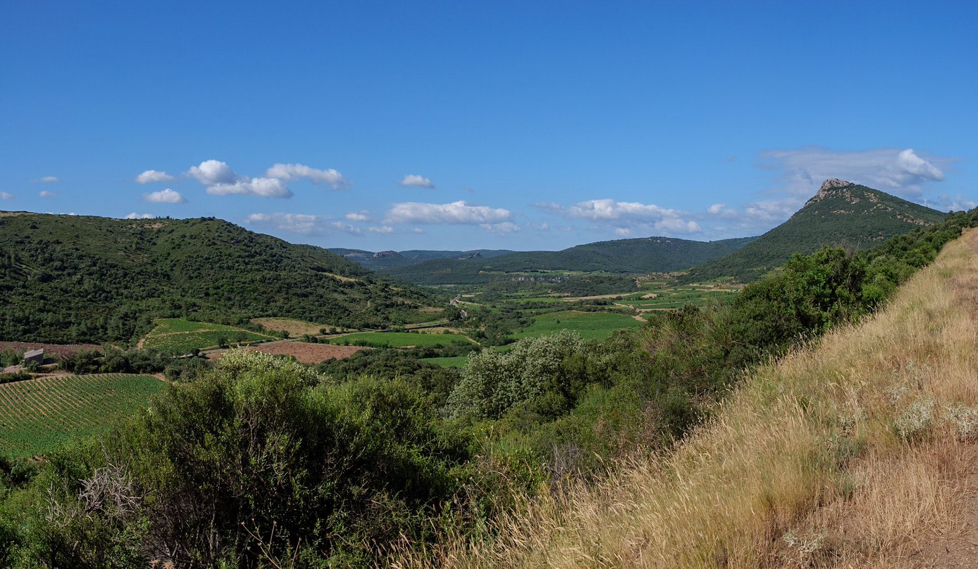 Les vignes sous le Vissou depuis son flanc est