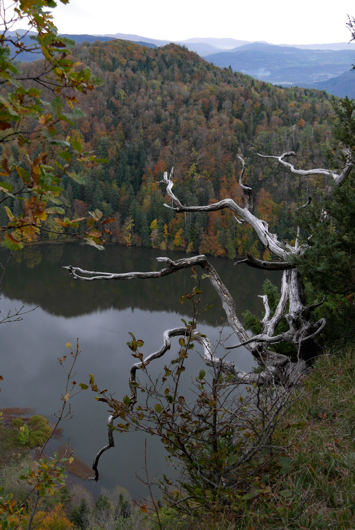 Belvédère du lac d'Antre