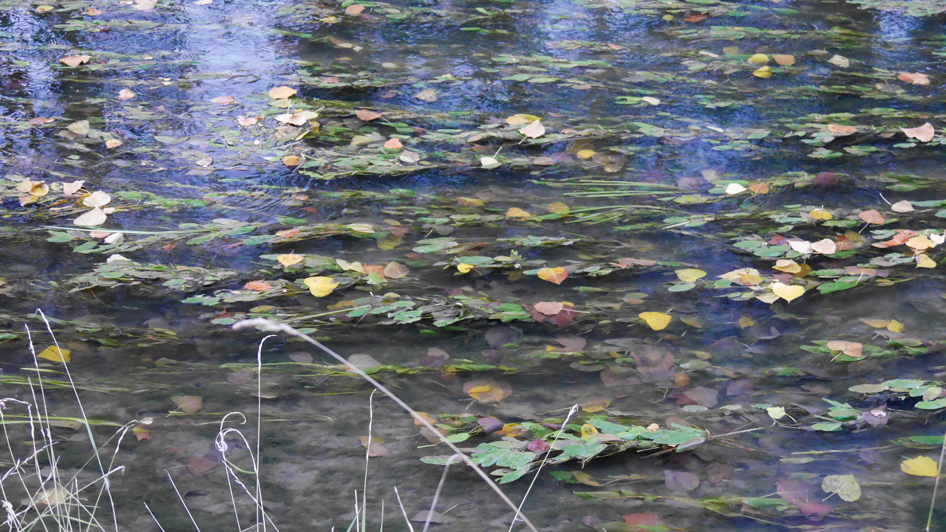 P1000173