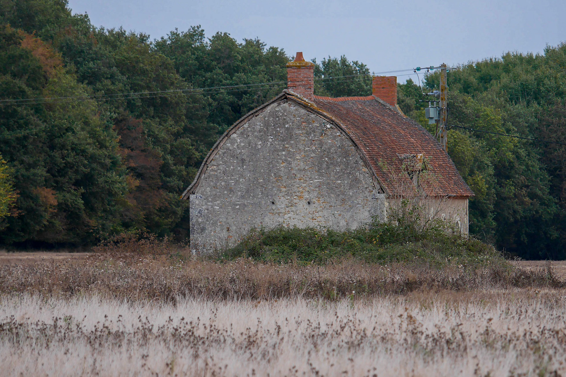 P1000173