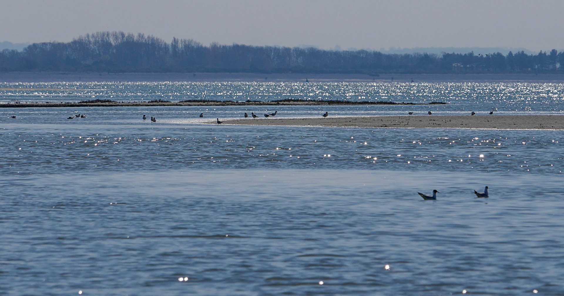 ßaie de Somme à La Maye
