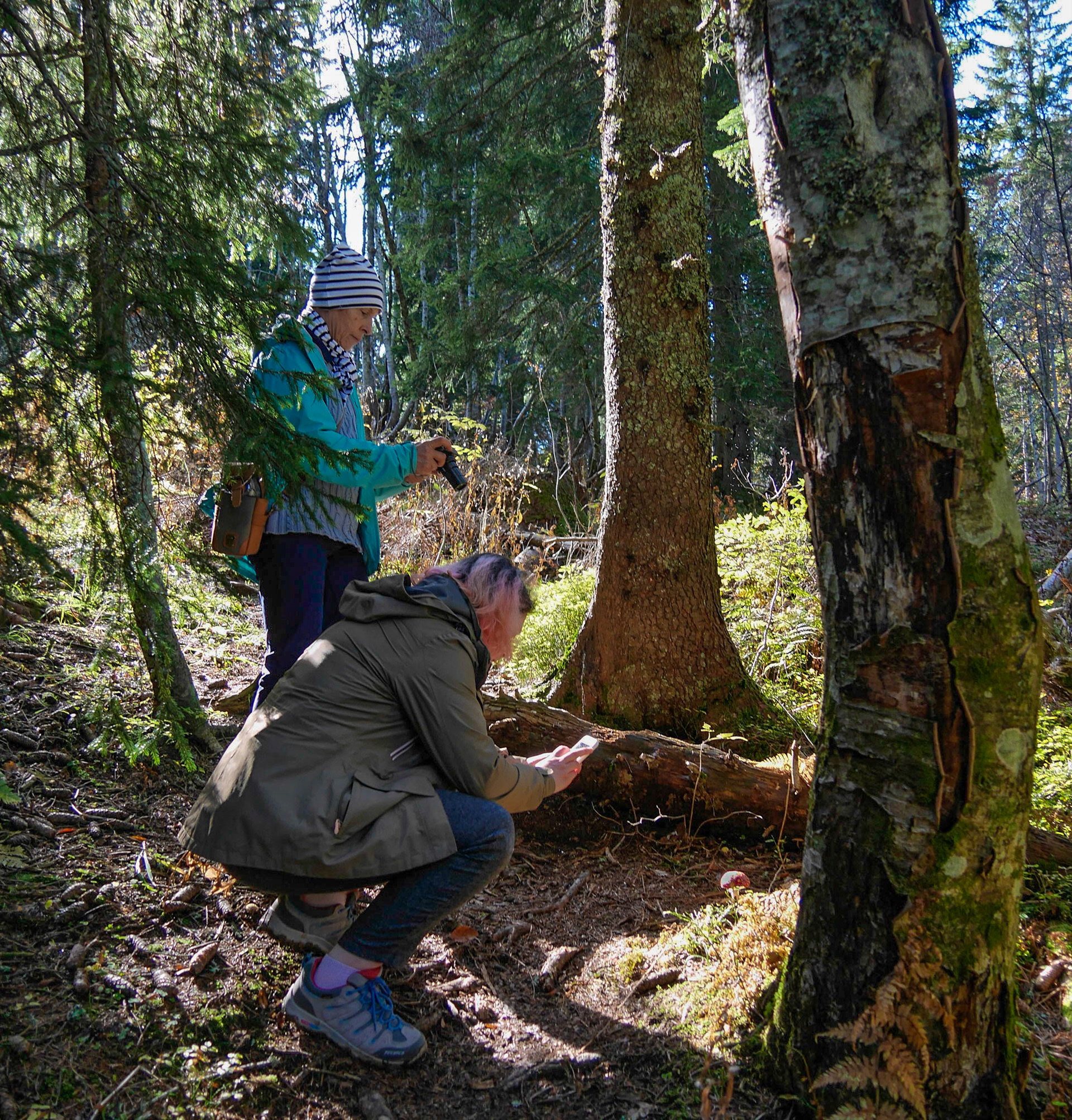 Descente du Crêt de Chalam