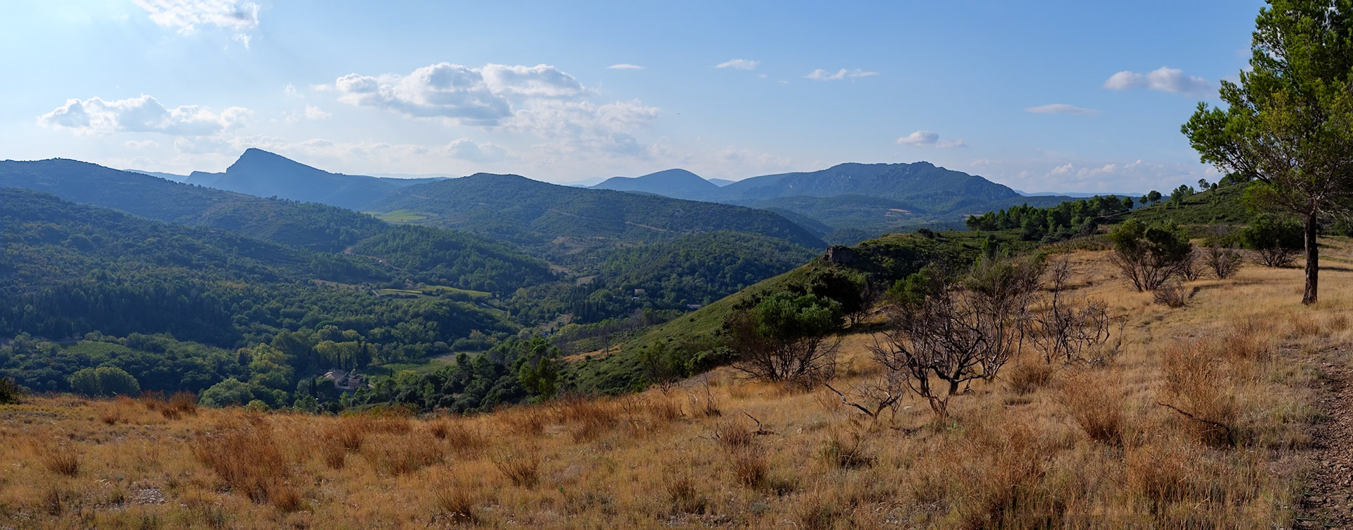 Le Vissou et la montagne de Liausson du Roc Cayla