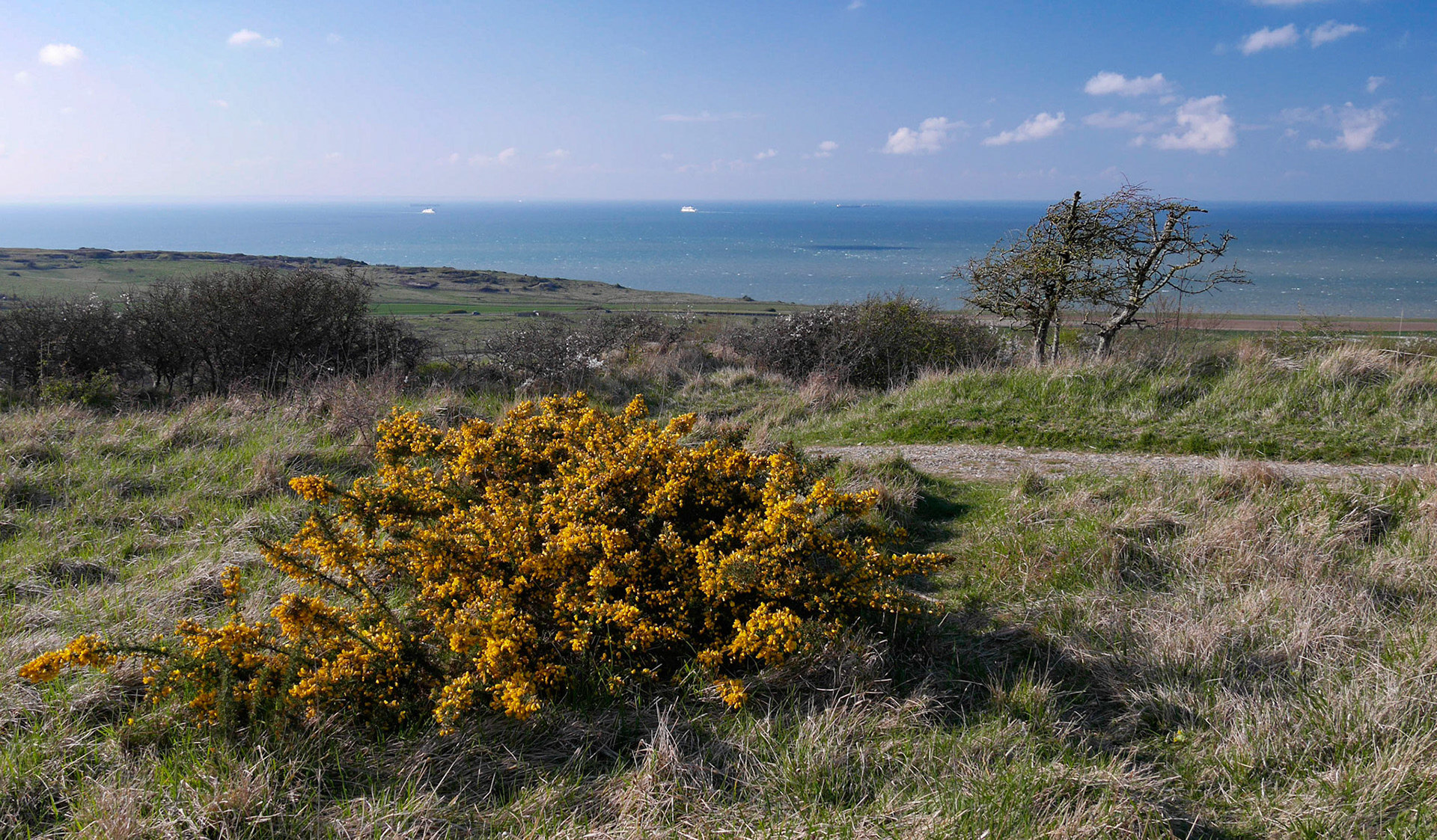 Cap Blanc-Nez