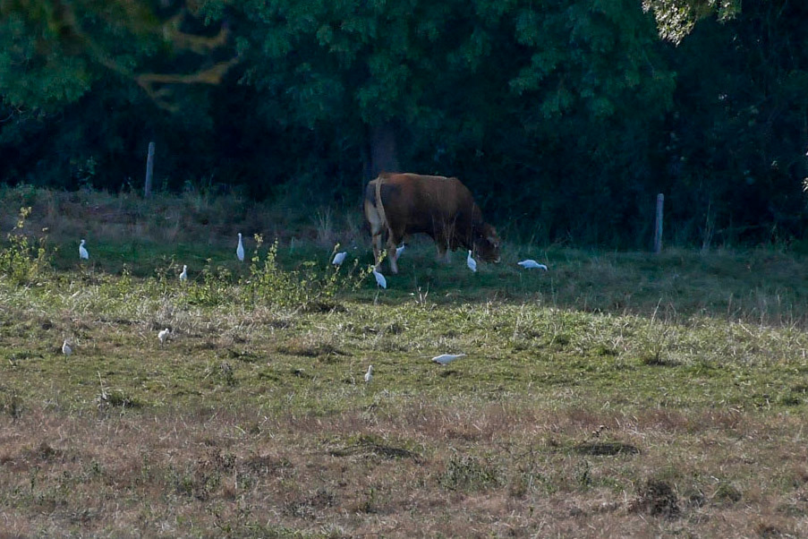 P1000173