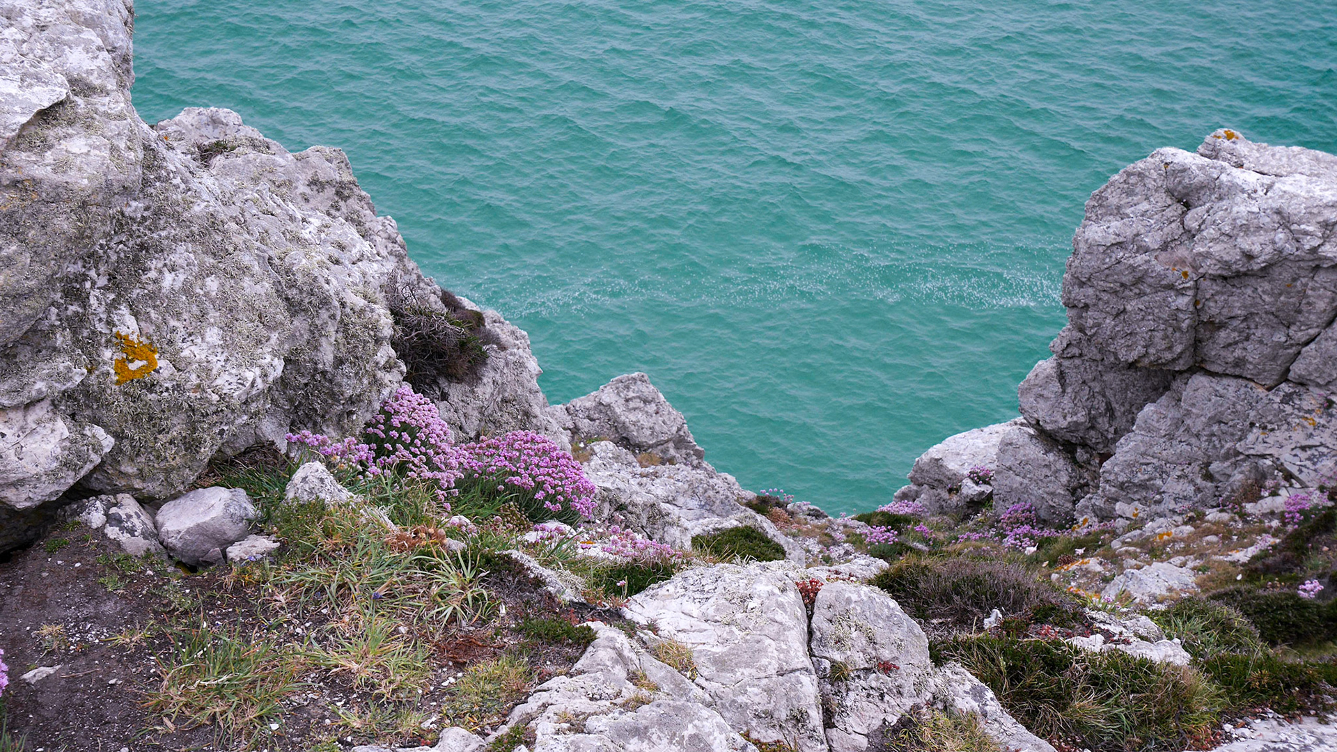 Presqu'île de Crozon