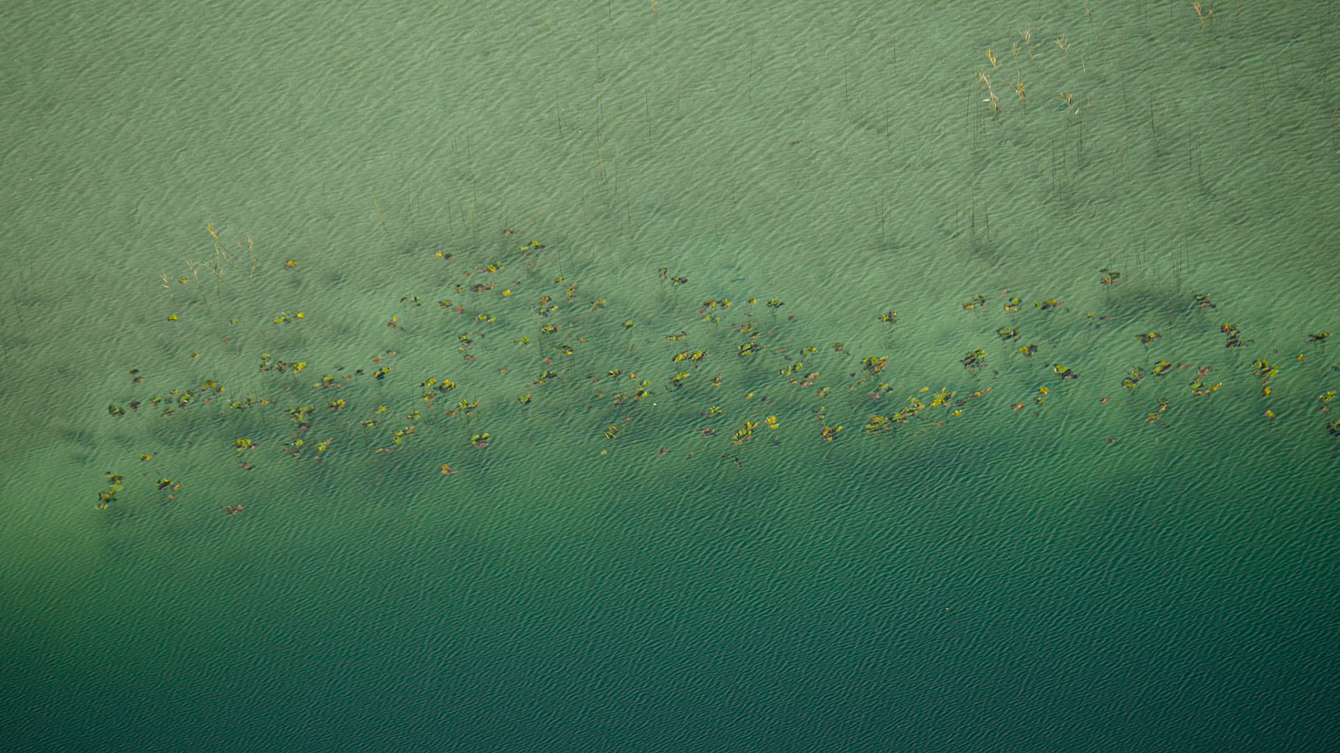 Lacs  de Maclu