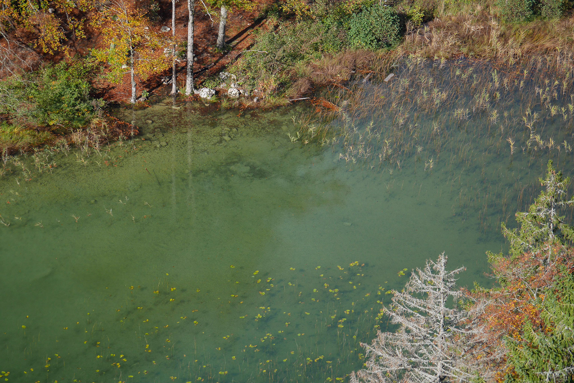 Lacs  de Maclu