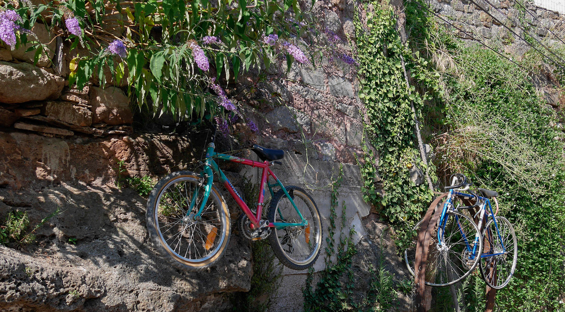 Vélos pendus à Montjaux