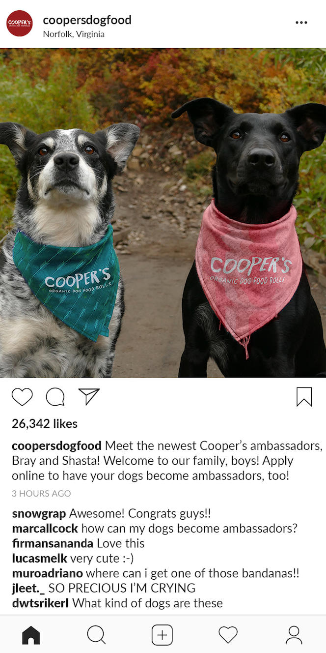 Social Media Campaign