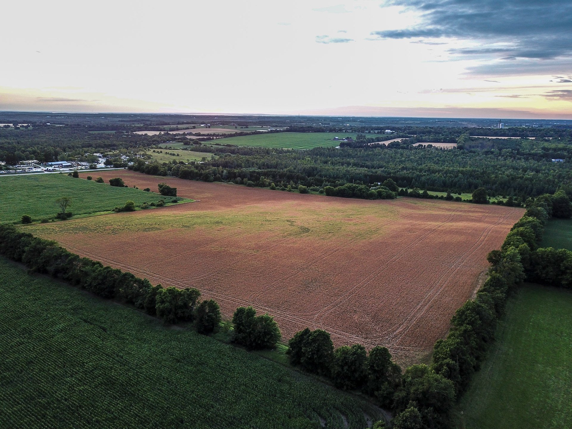 DCIM\100MEDIA\DJI_0019.JPG