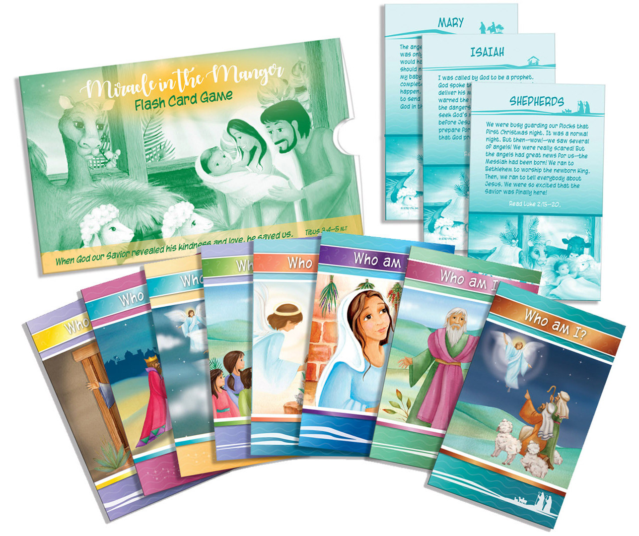 Theme Design & Illustration