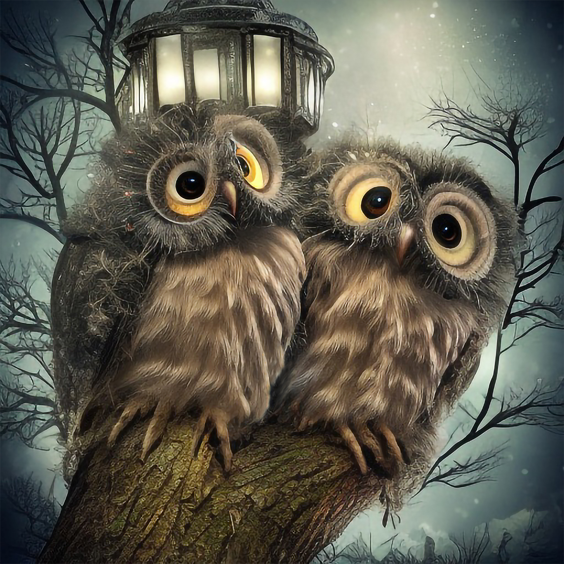 Owl Pals