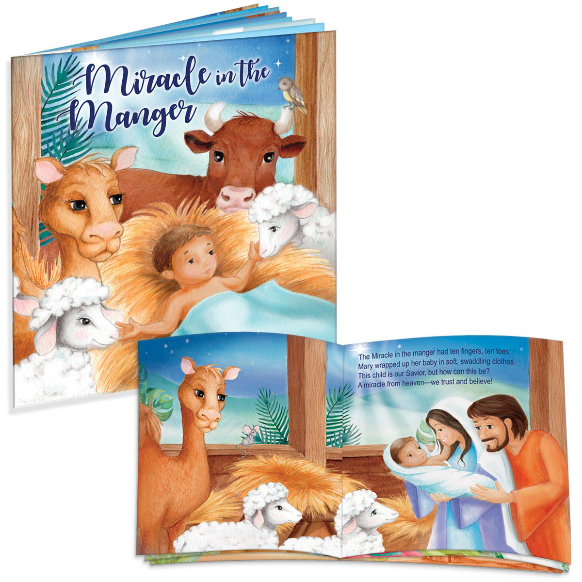 Book Design & Illustration