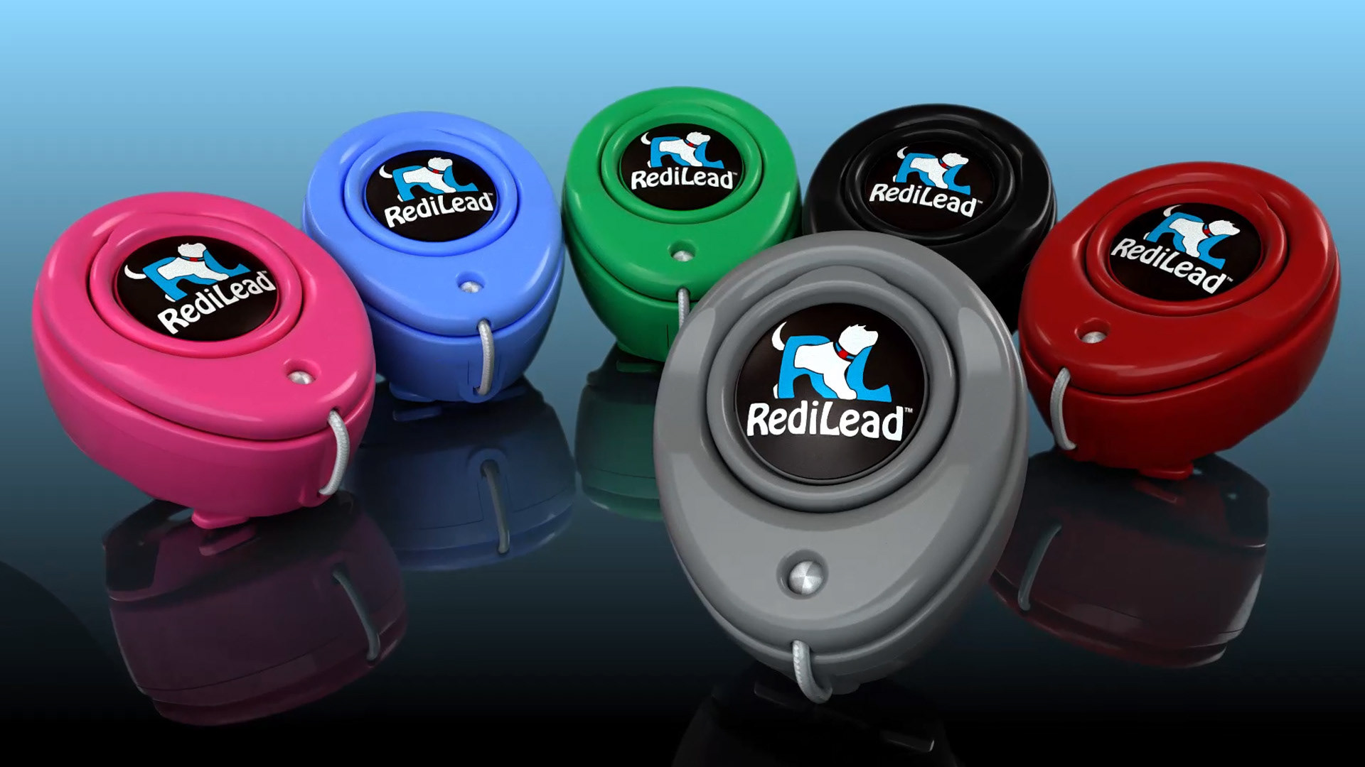 Logo & Brand Identity