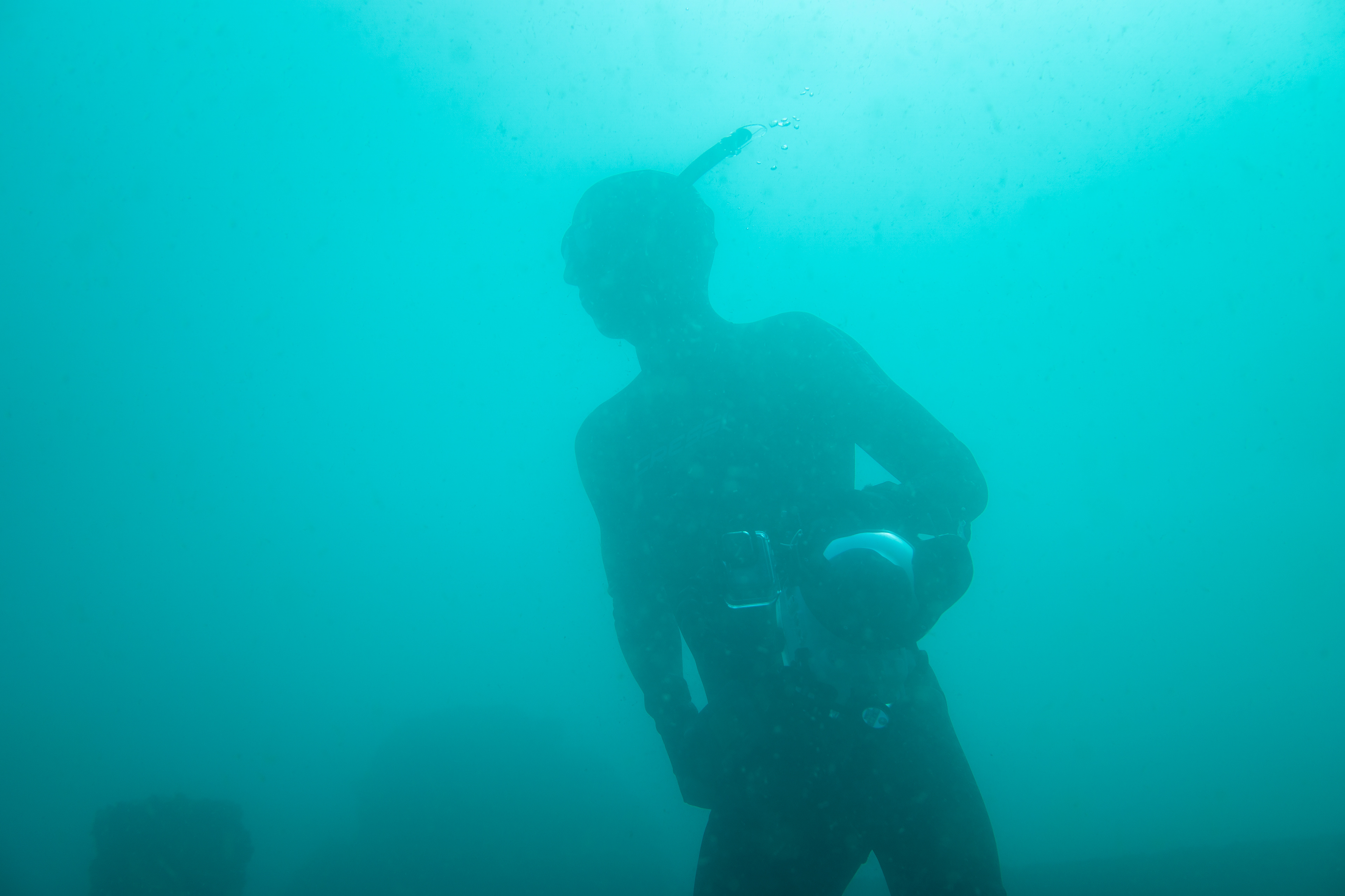 Captured by Jerome Weidmann