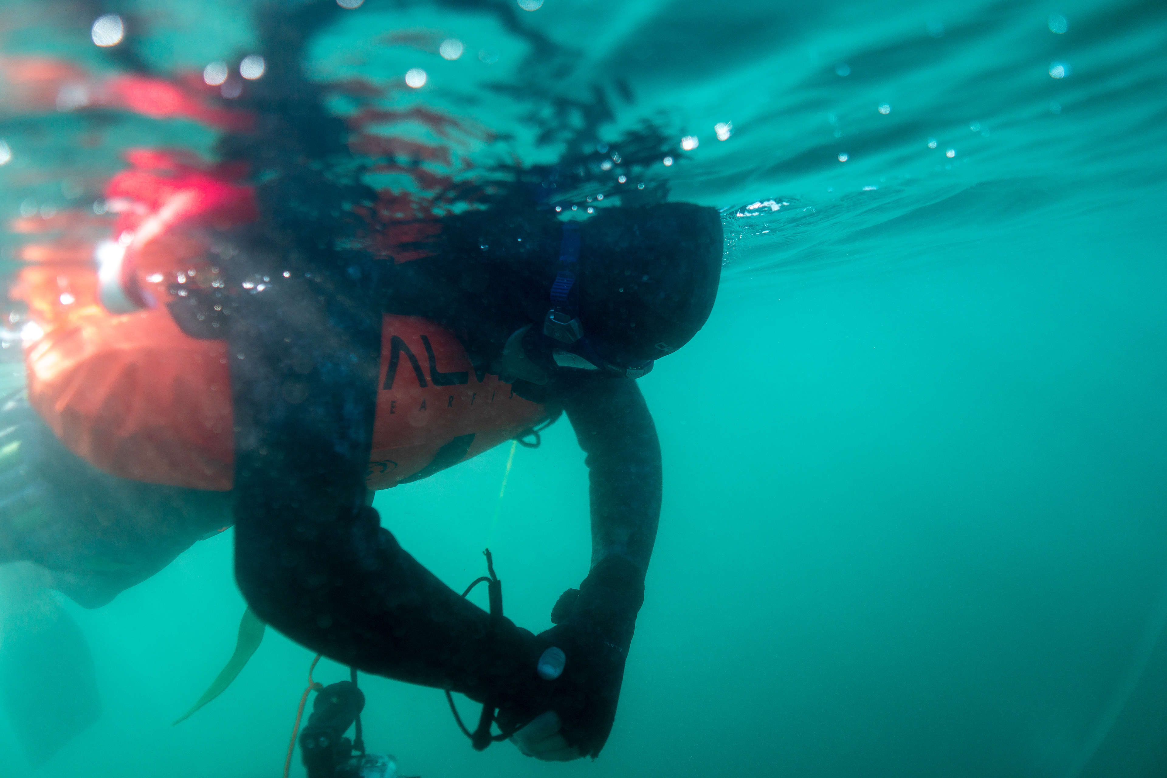 Captured by Jerome Weidmann