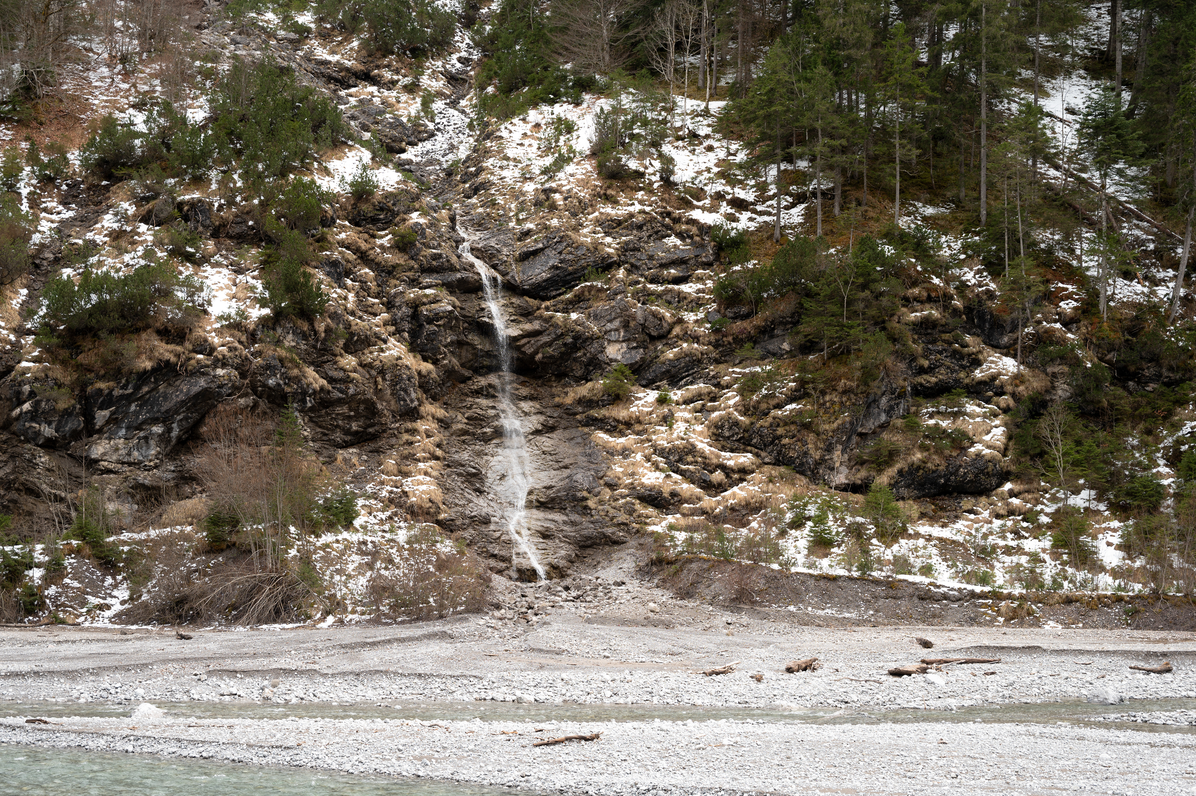 Hidden mountain chamois