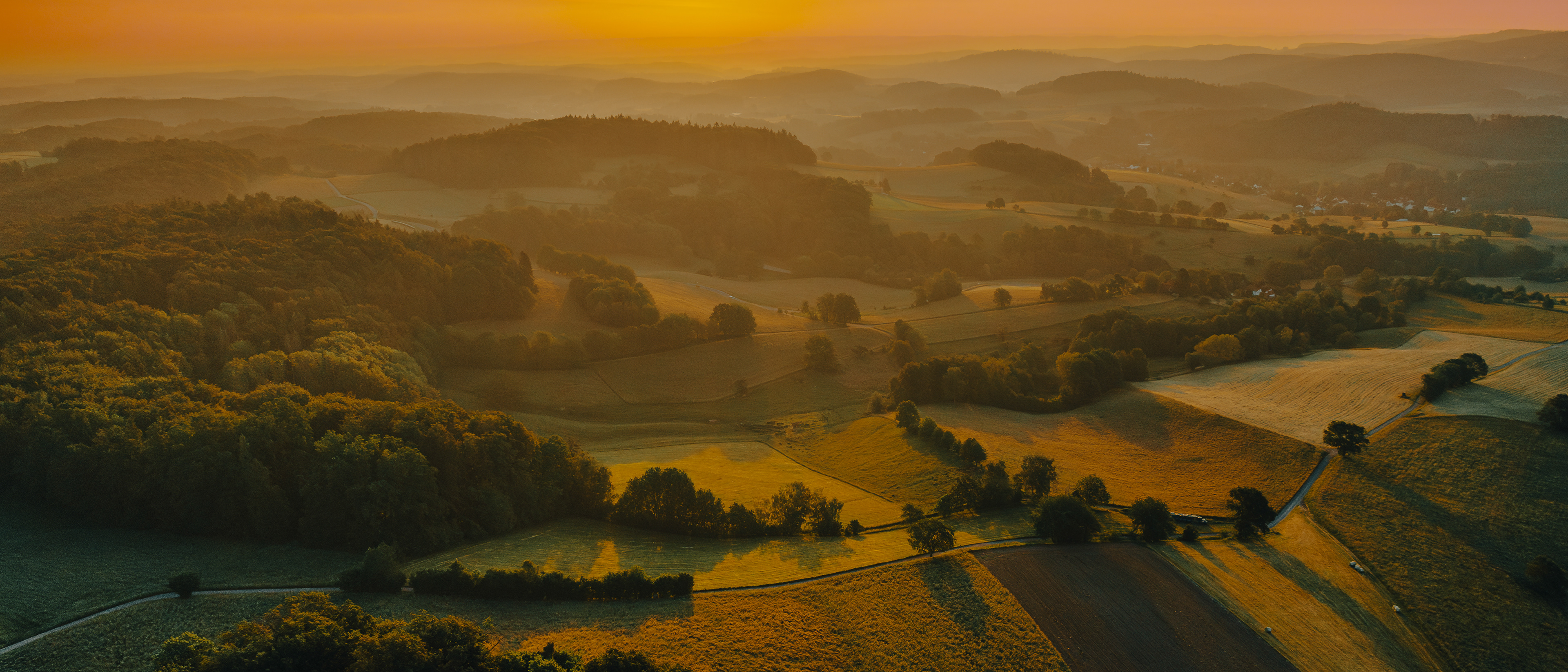 The Odenwald illuminated in the golden hour
