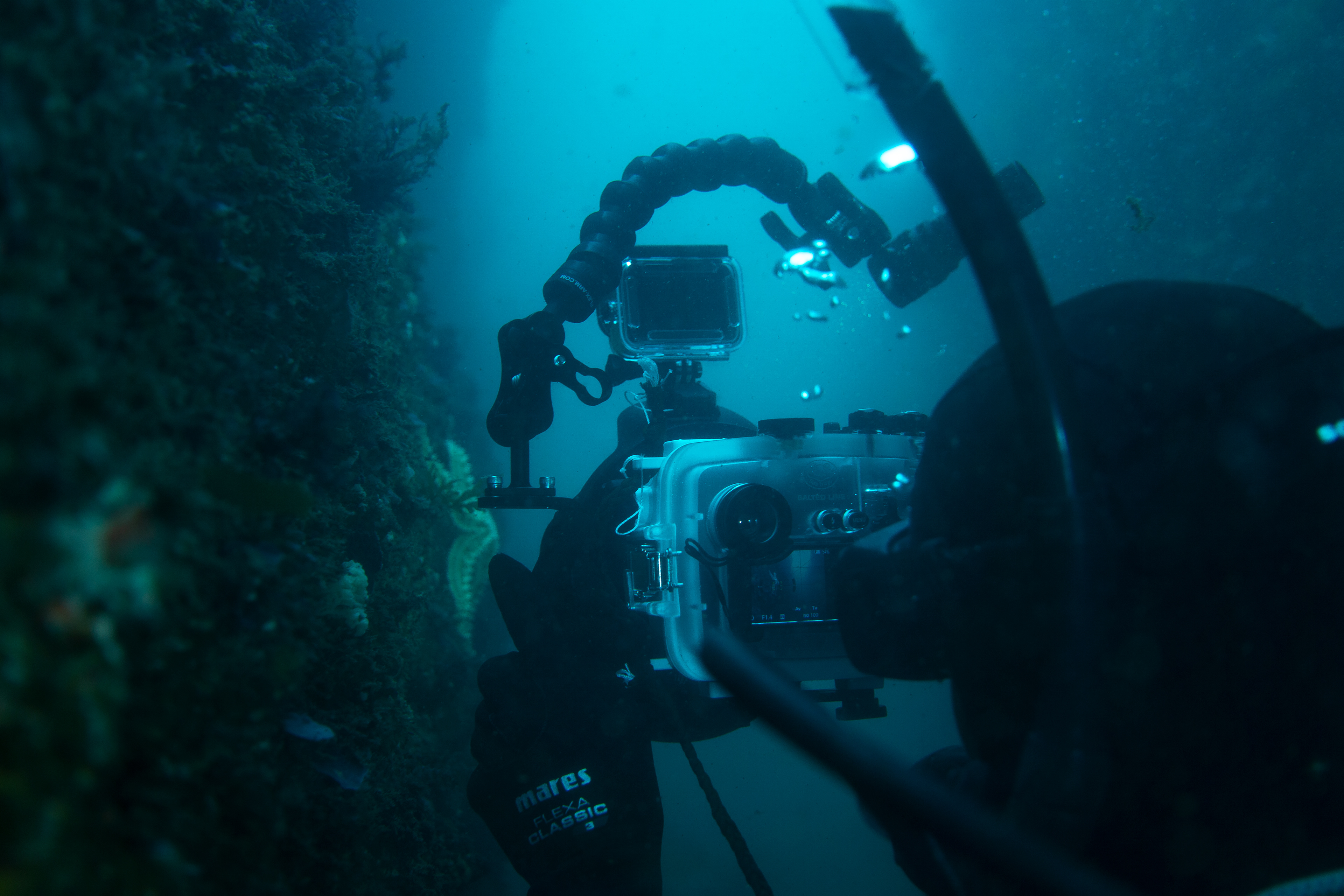 Captured by Jerome Weidmann