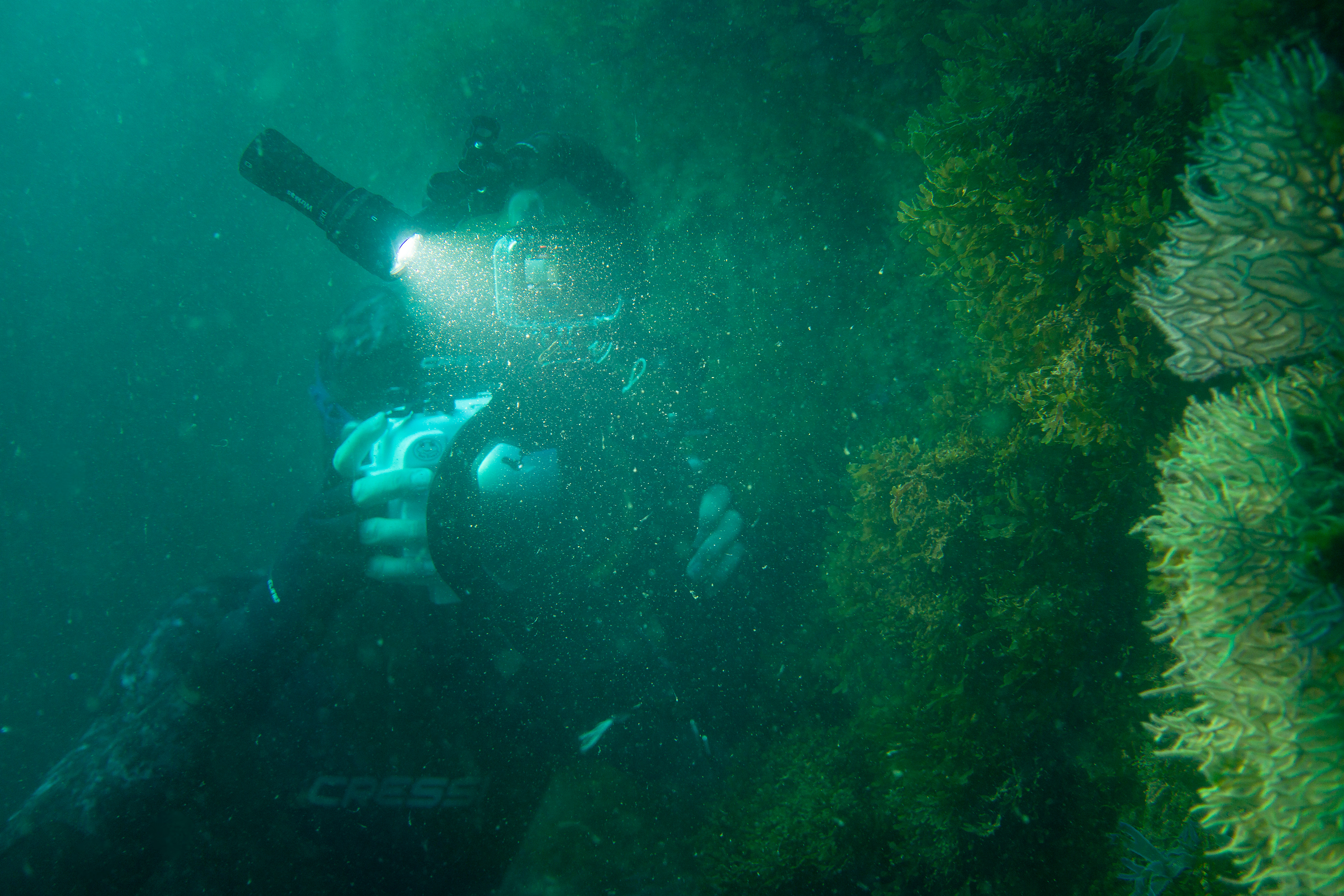 Captured by Jerome Weidmann