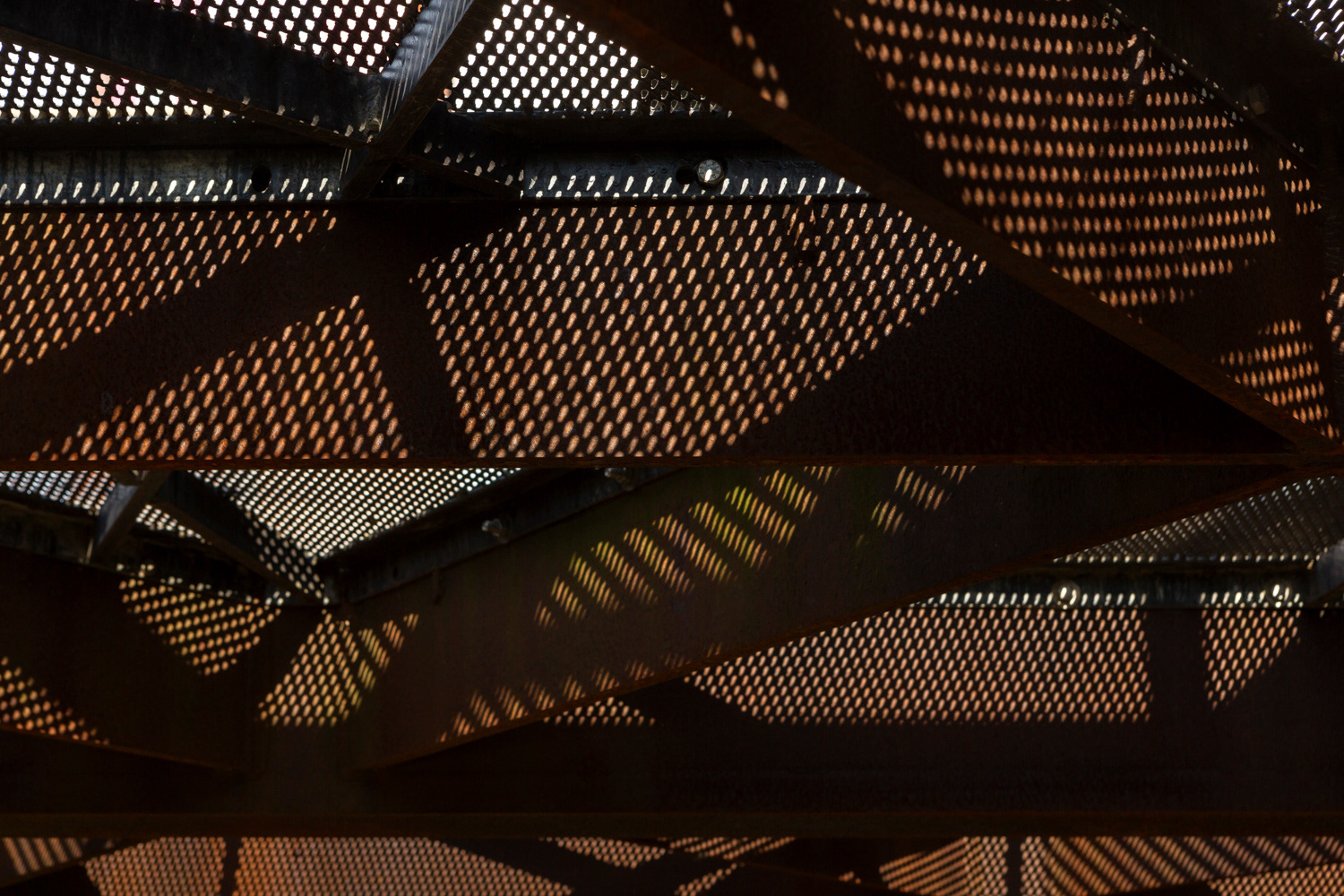 Marks Barfield Architects: Tree Top Walkway, Kew Gardens