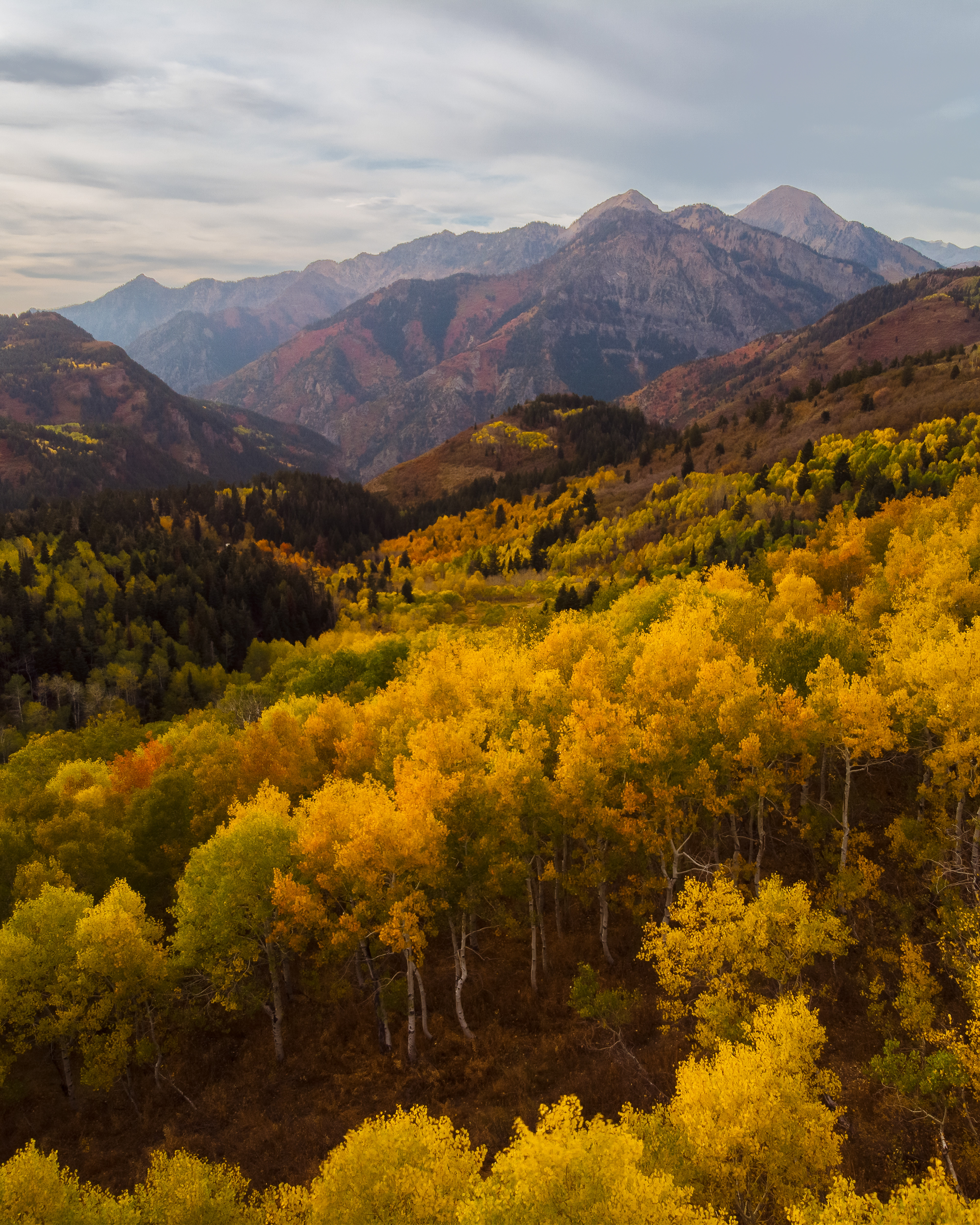 American Fork Aerial