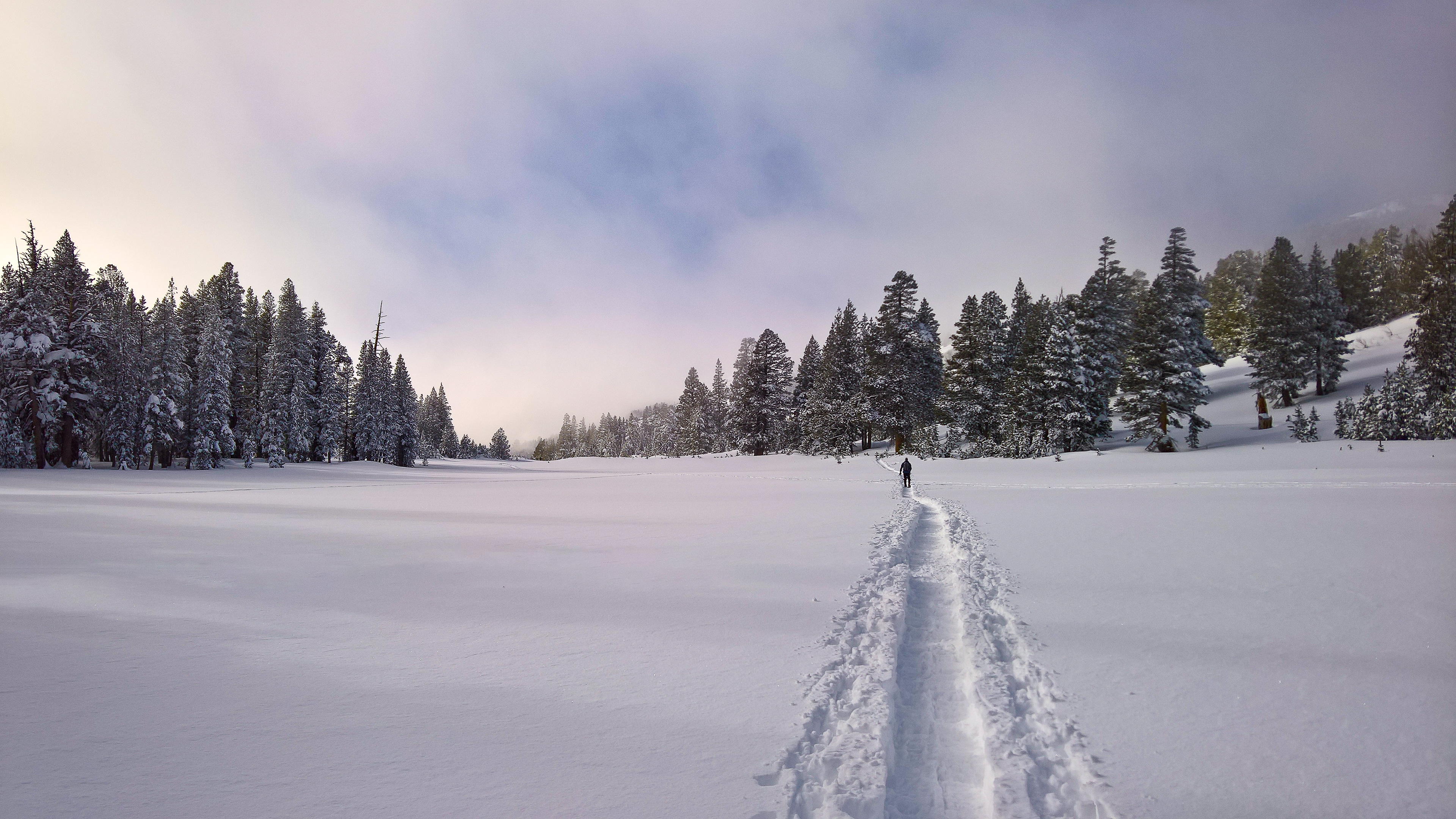 Tahoe Meadow Stroll