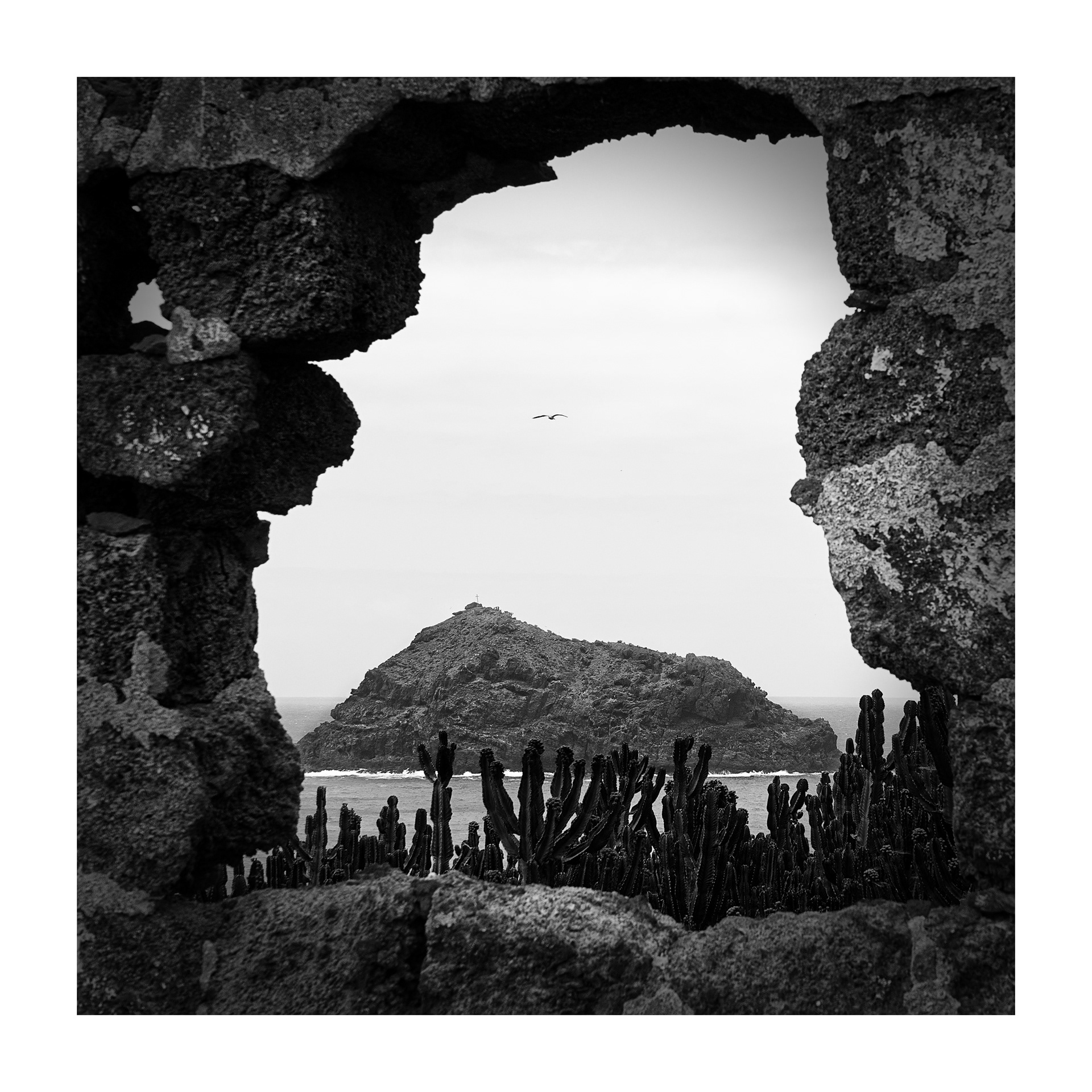 Roque de Garachico - Studie 3 - Garachico - 2023