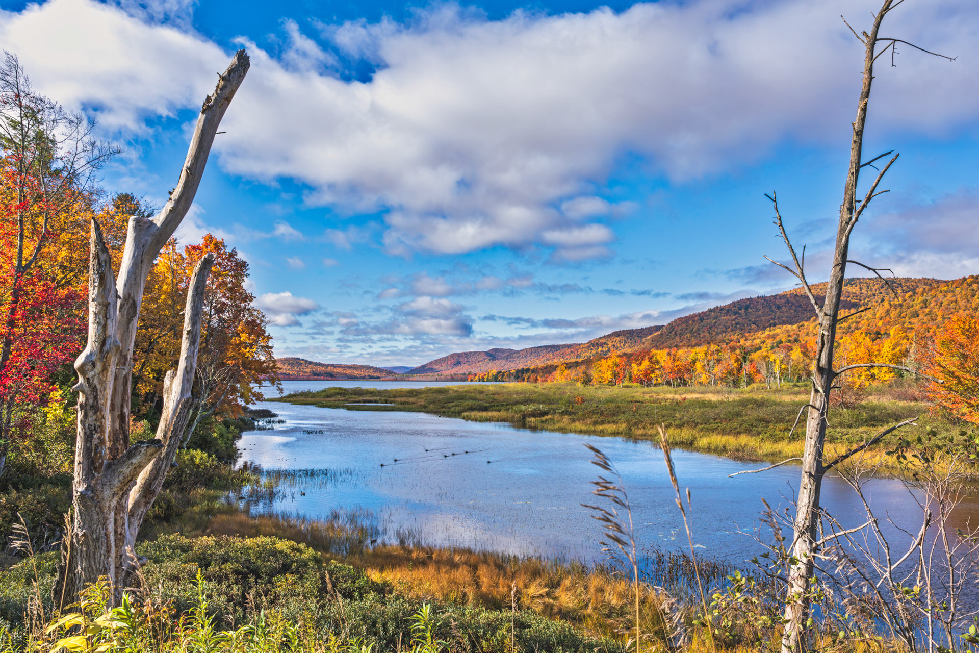 Quintessential Autumn