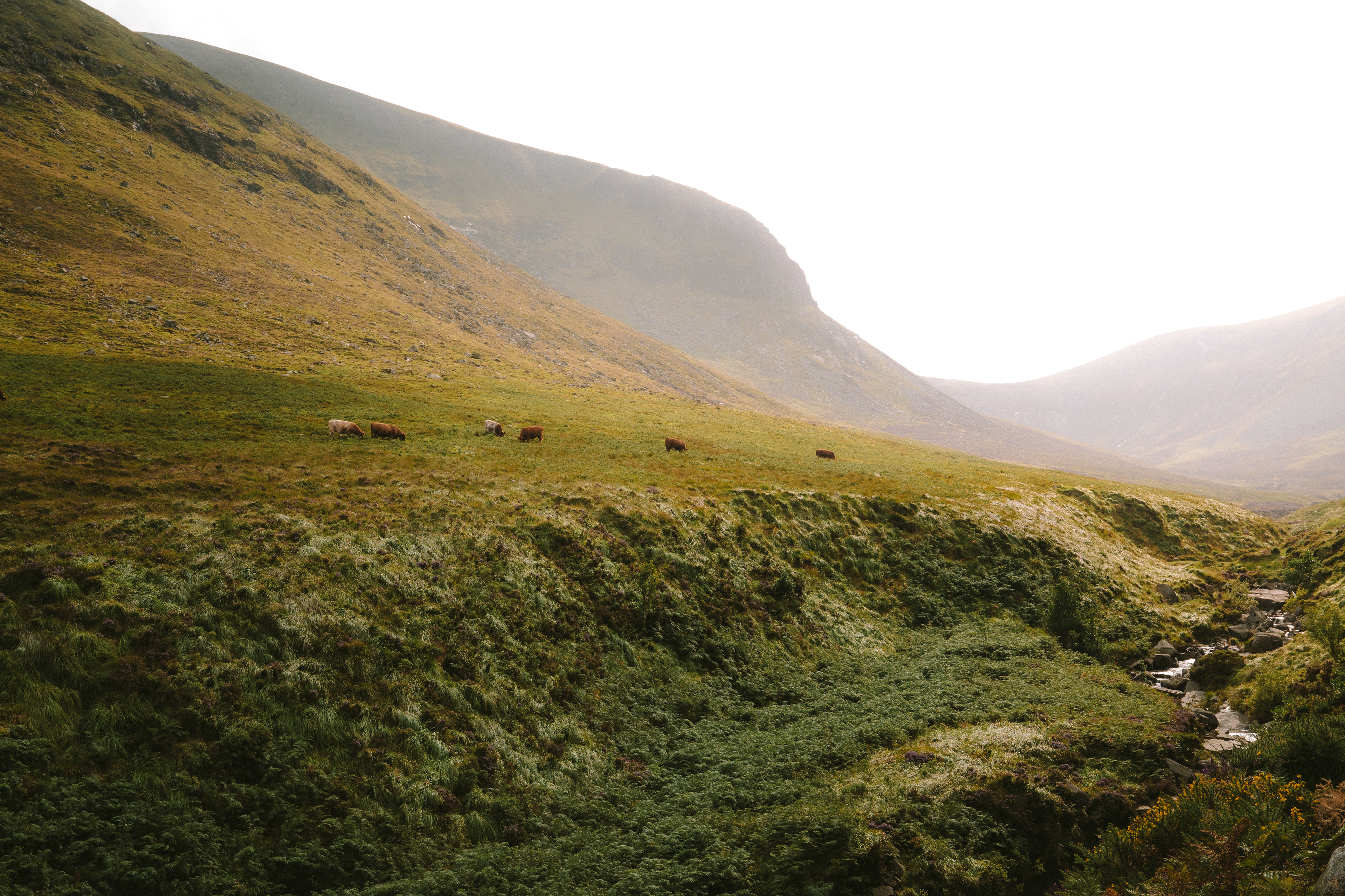 Mournes Trail