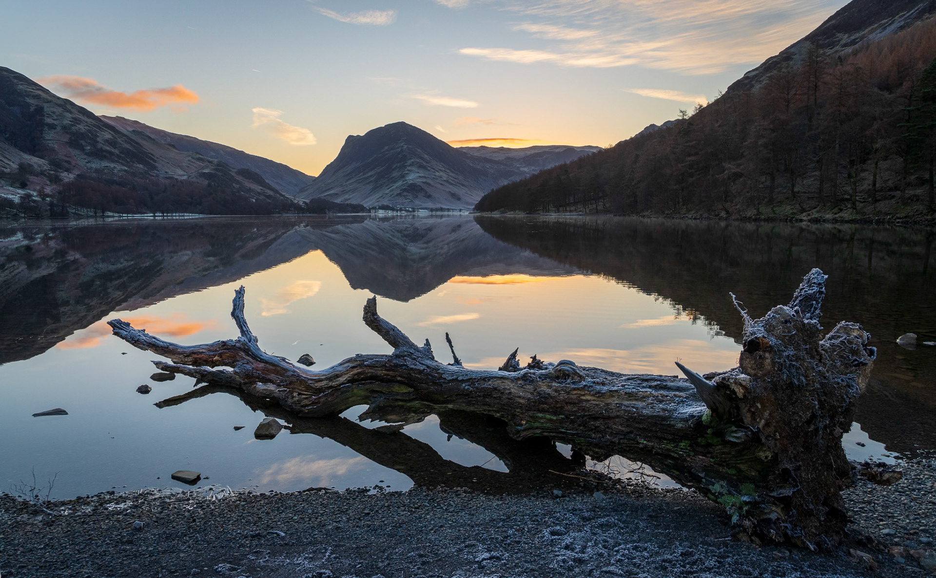 Fallen Tree at Buttermere