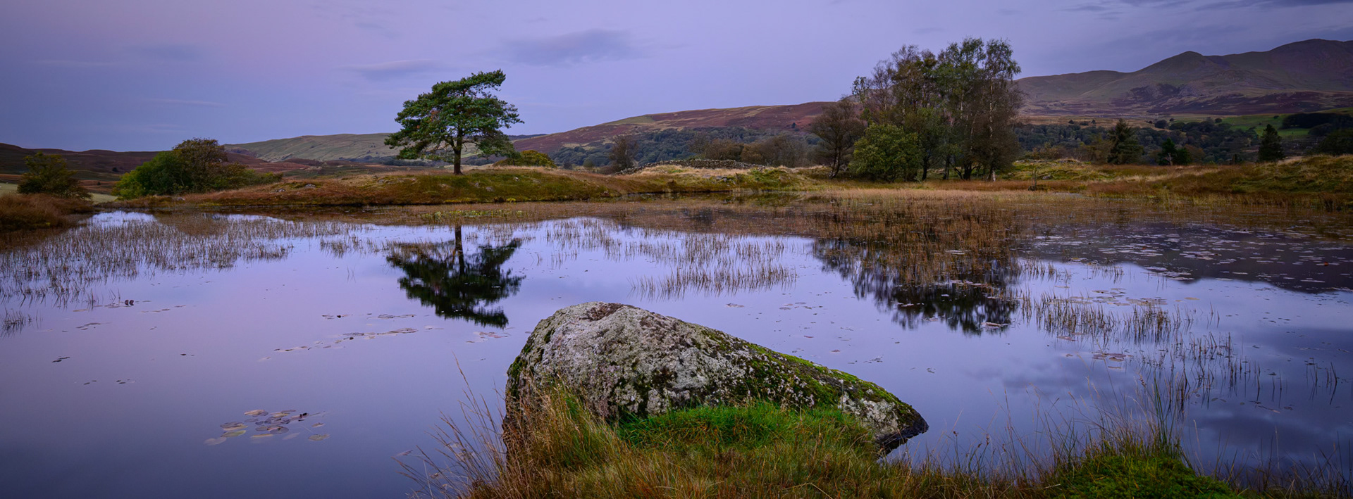 Kelly Hall Tarn's Purple Calm