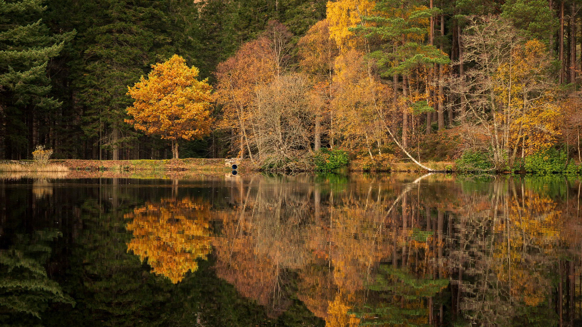 Still Reflections at Glencoe Lochan