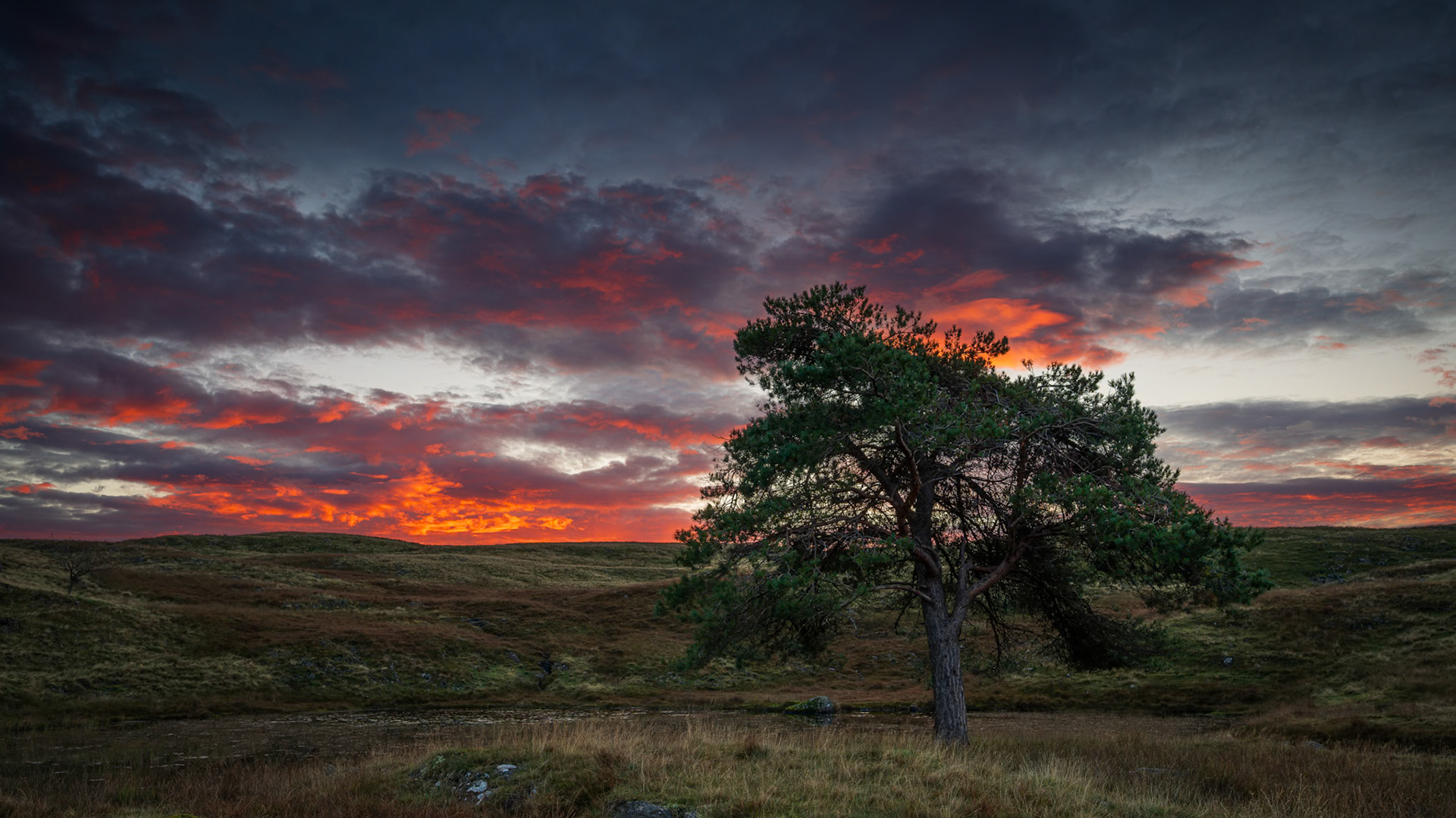 Fire over Kelly Hall Tarn